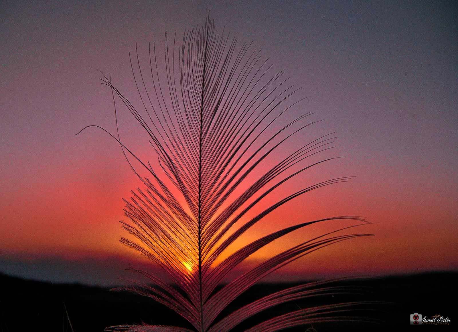 Fujifilm FinePix Z35 sample photo. Feather & sunset photography