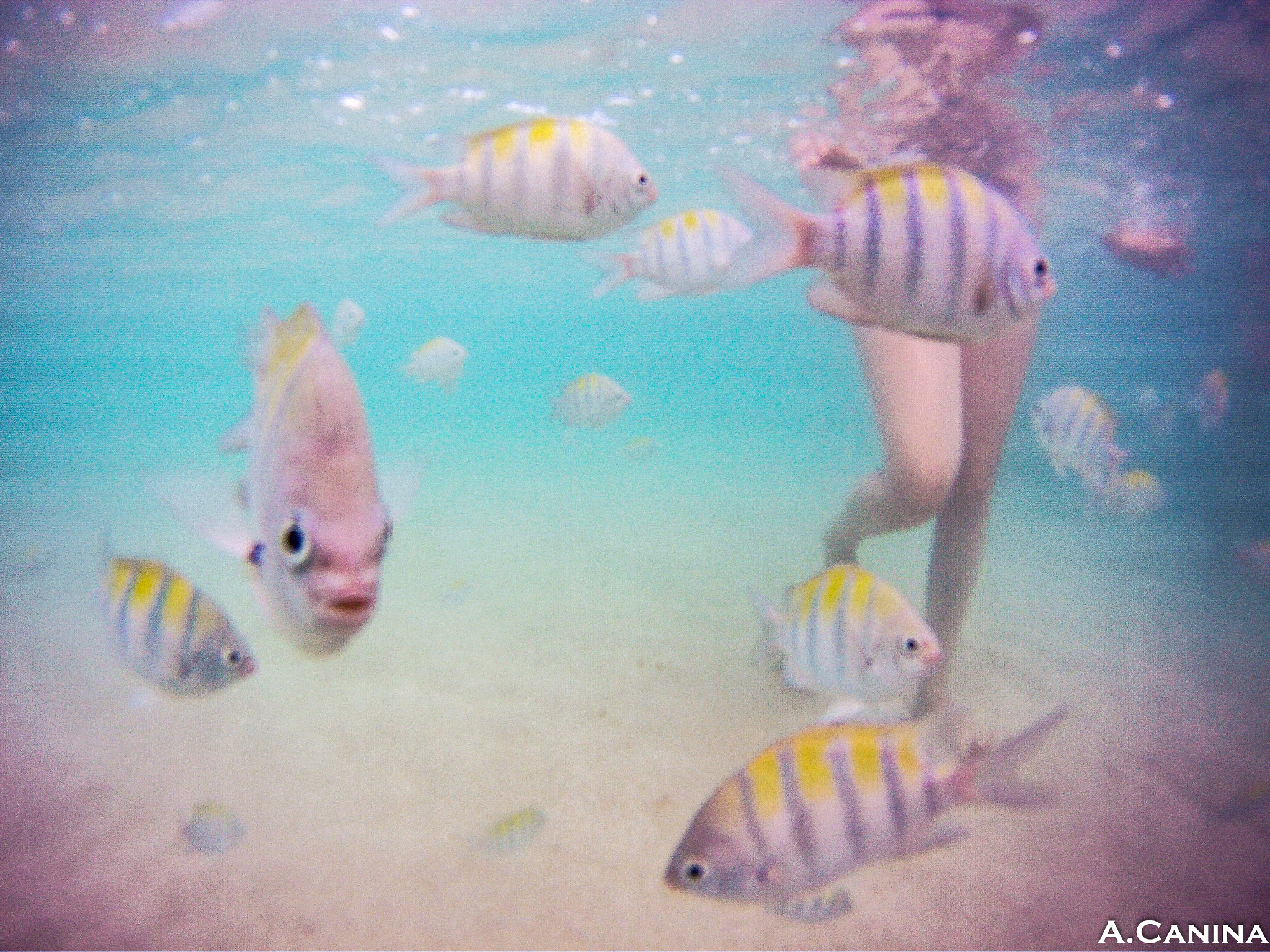GoPro YHDC5170 sample photo. I´m looking at you photography