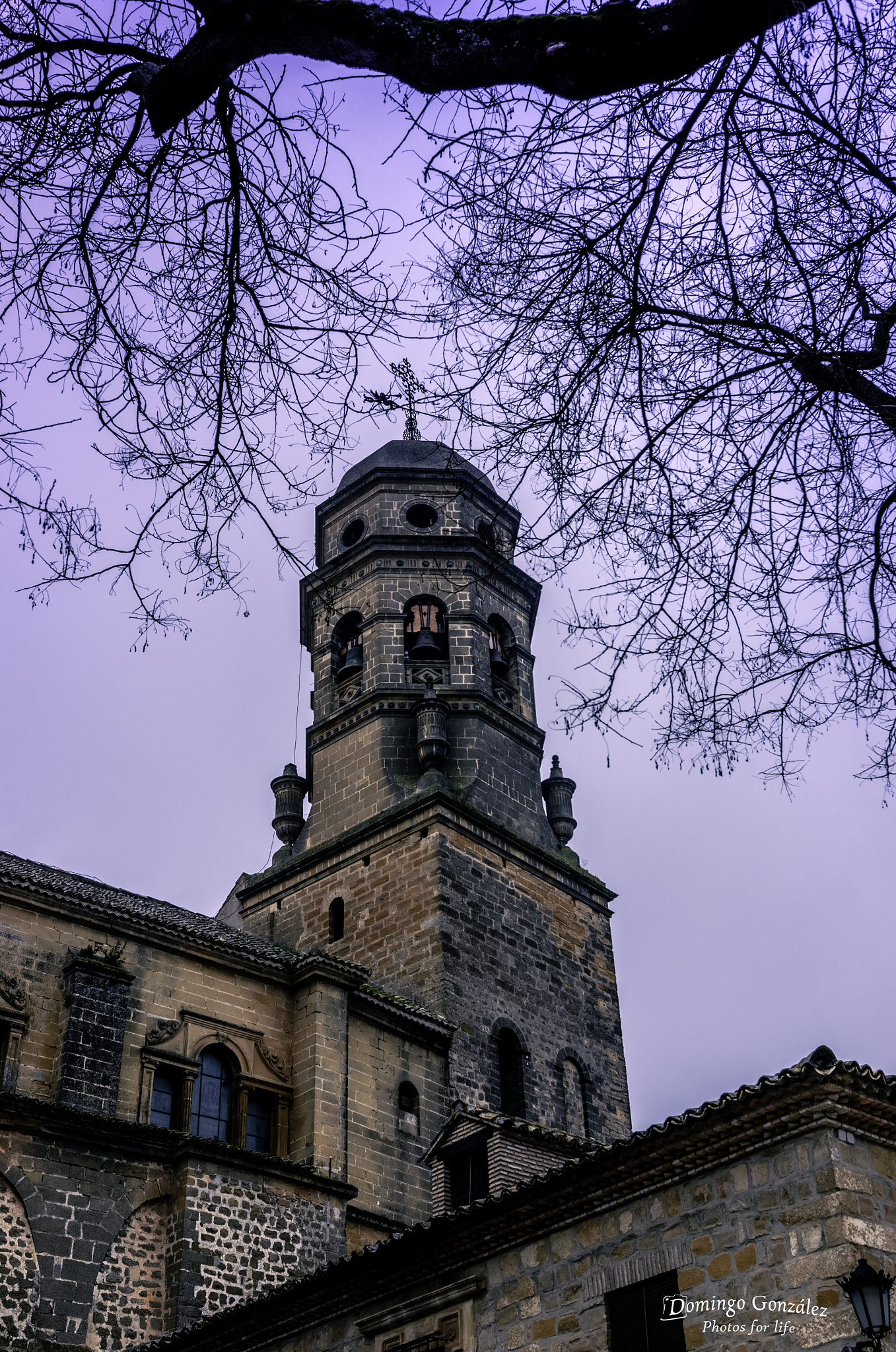 Nikon D7000 sample photo. Catedral de baeza photography