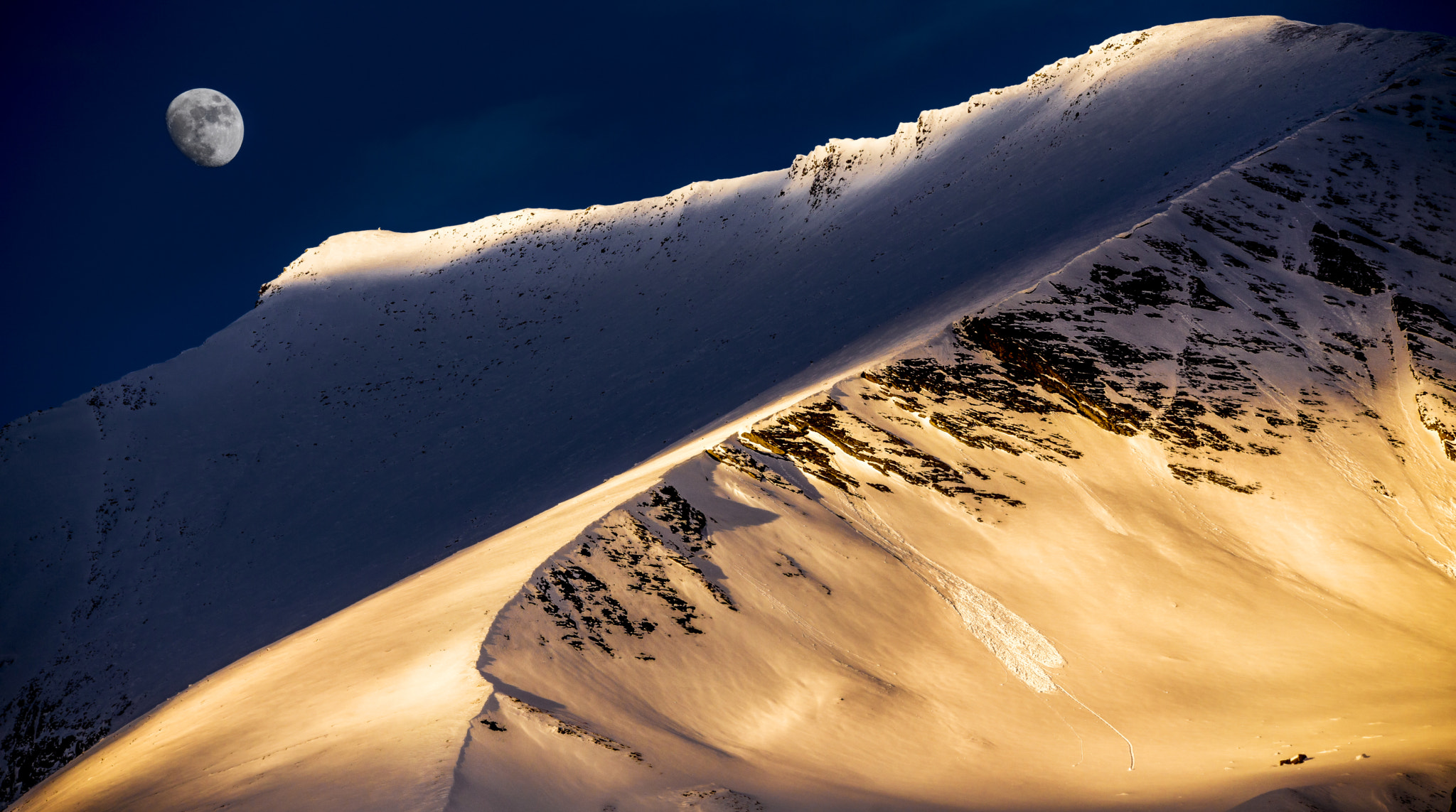 150-600mm F5-6.3 DG OS HSM | Contemporary 015 sample photo. Golden moment photography