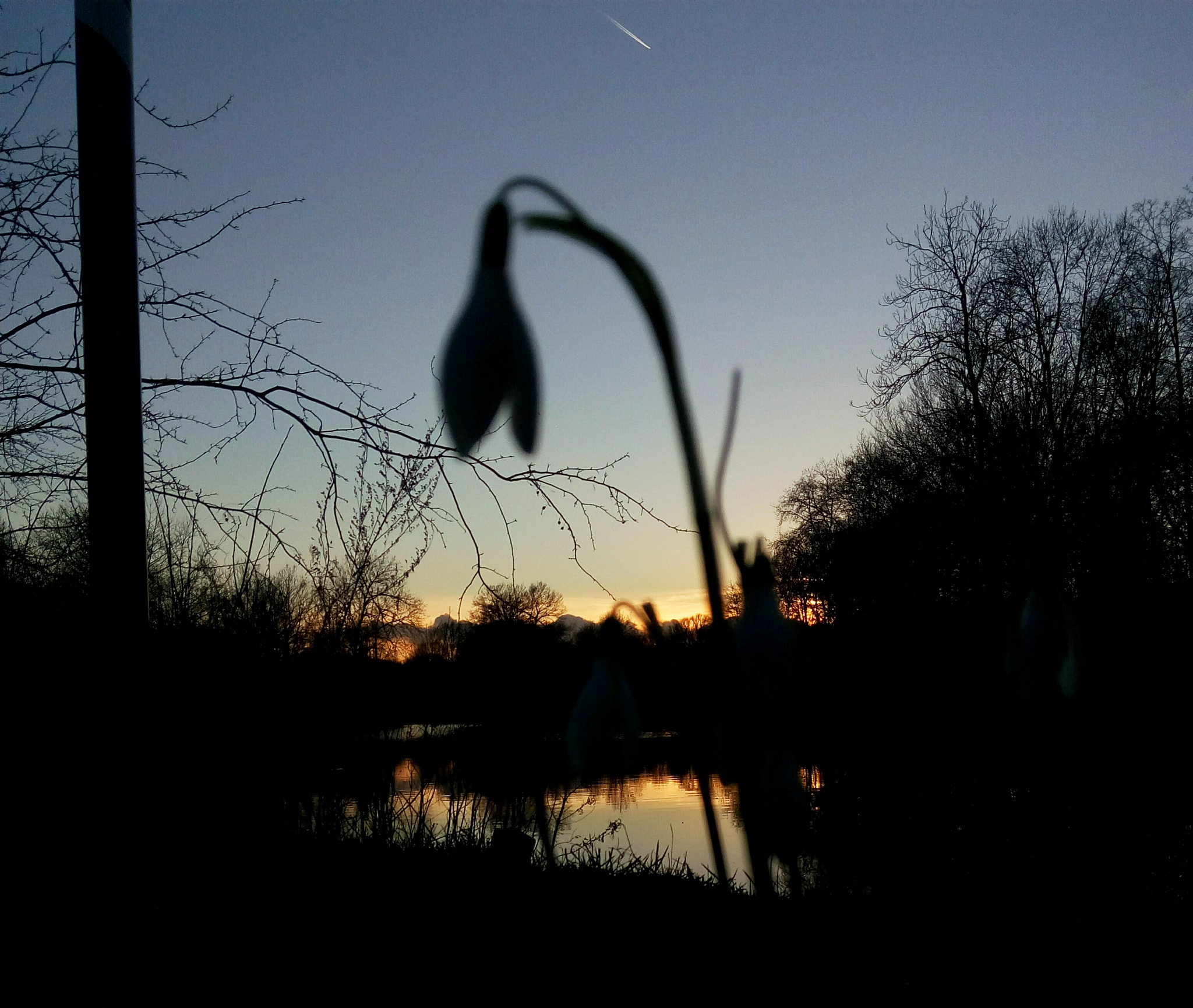Meizu m1 note sample photo. Dusk photography