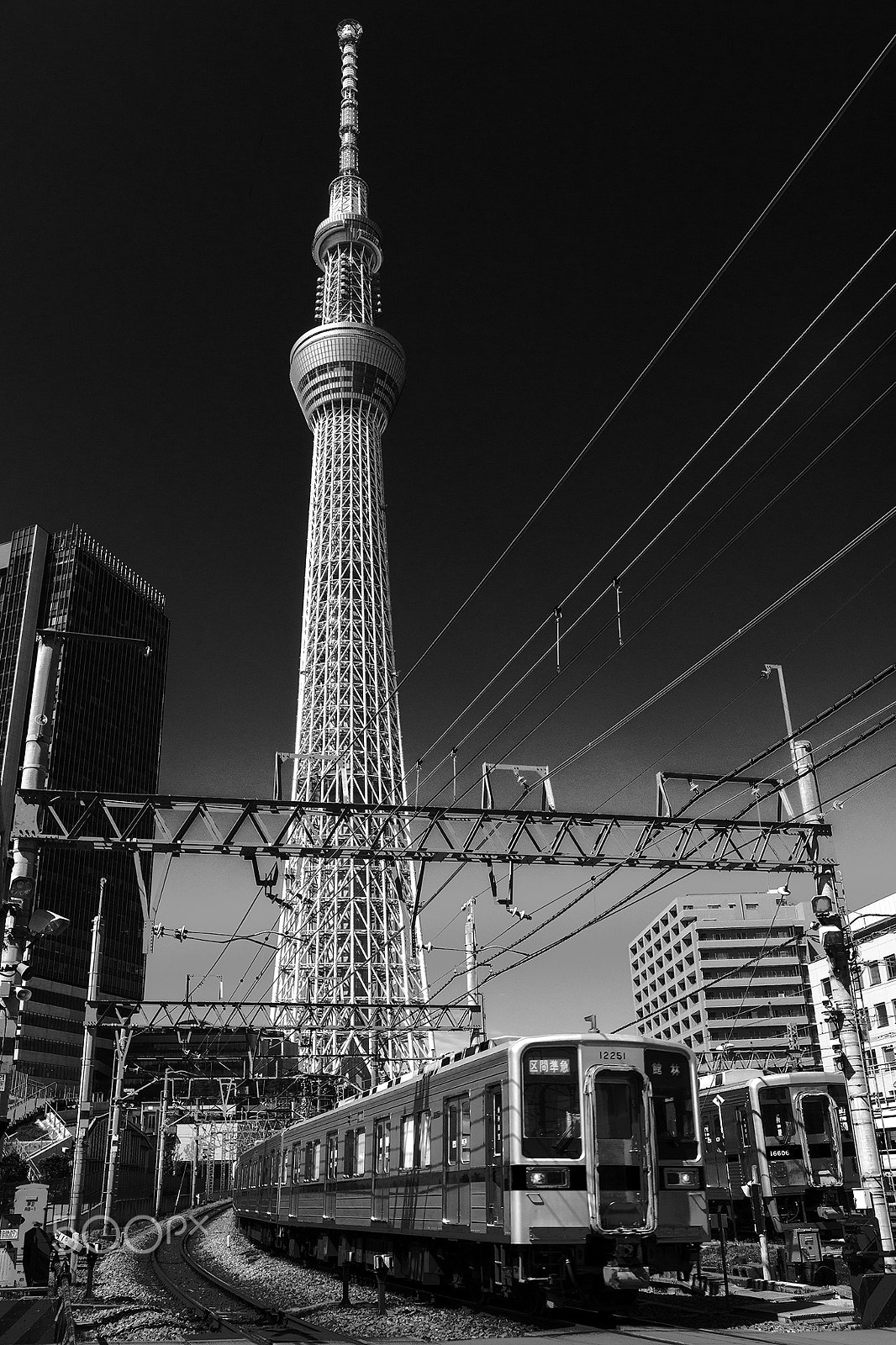 Sigma 18-35mm f/1.8 DC HSM sample photo. Black photography