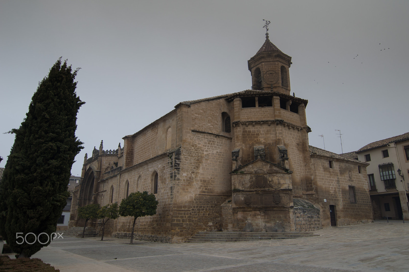 Nikon D3200 sample photo. Vbeda v photography
