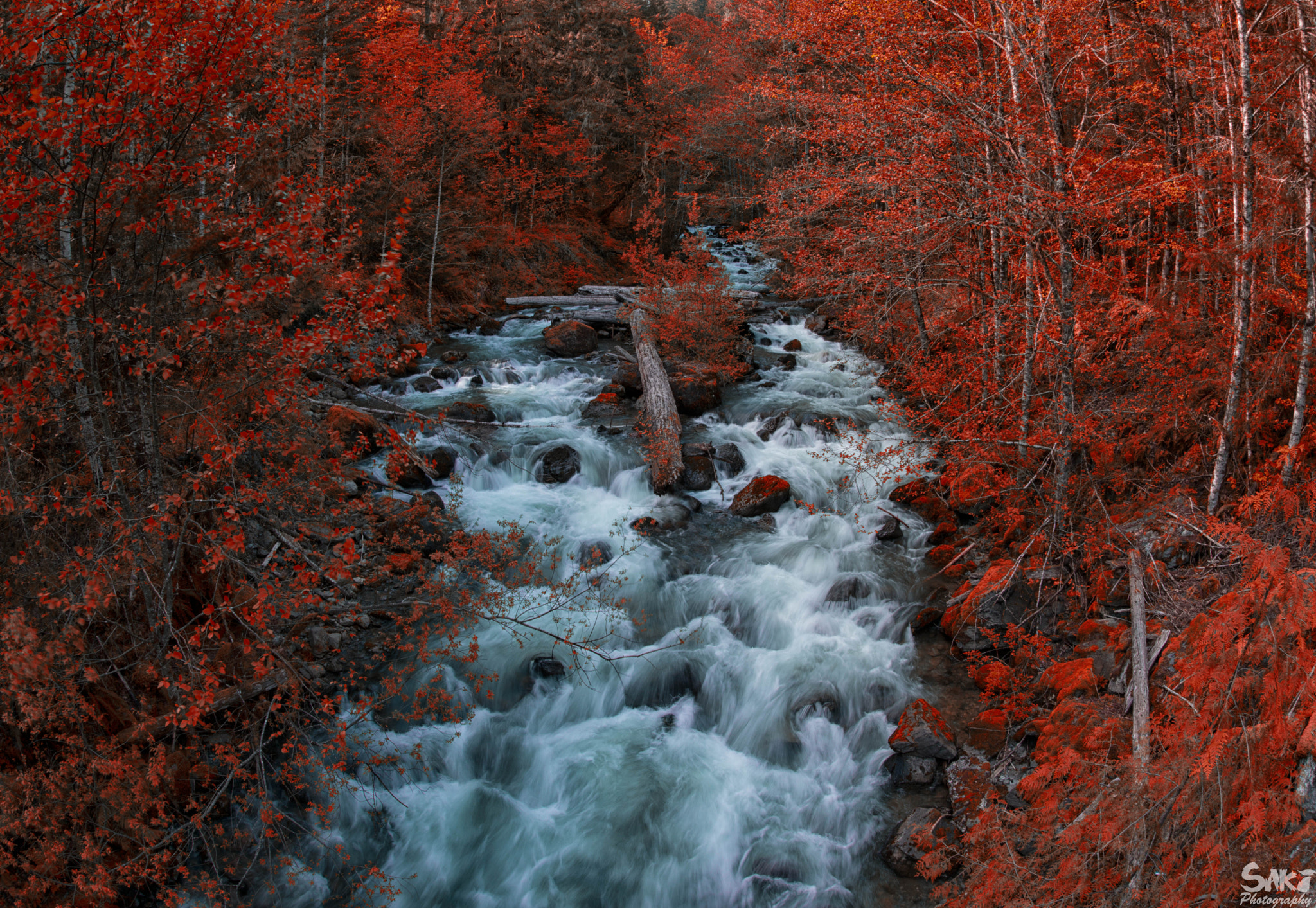 Nikon D800E + Sigma 15mm F2.8 EX DG Diagonal Fisheye sample photo. Majestic flow photography