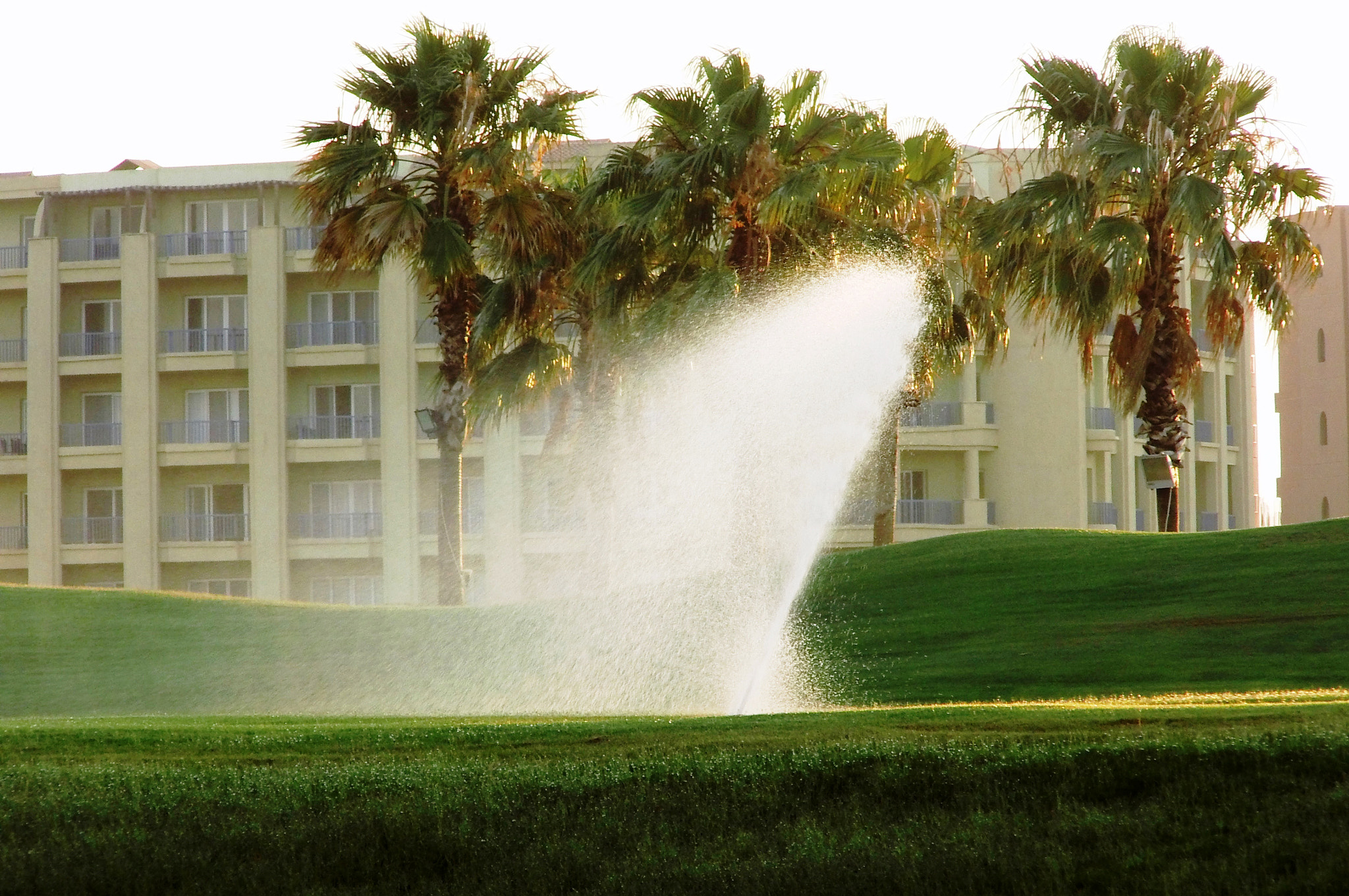 Benq GH700 sample photo. Irrigation of golf links at north coast of egypt photography