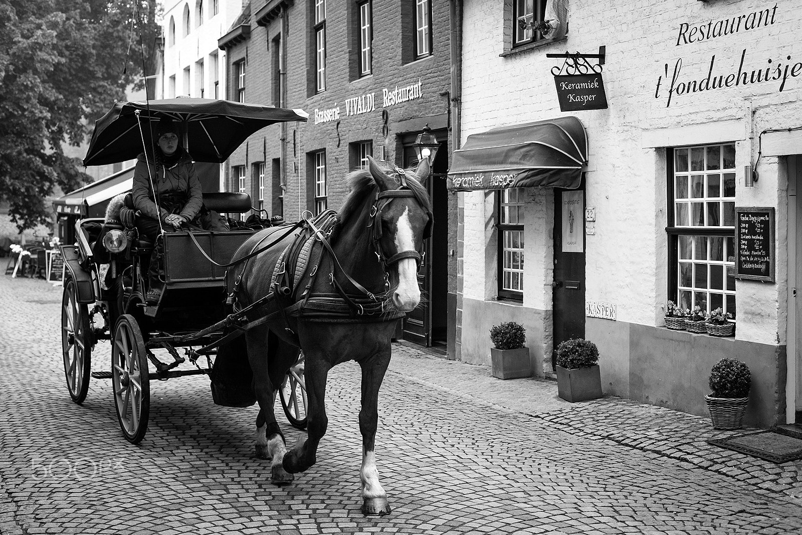 Canon EOS 5D + Canon EF 50mm F1.4 USM sample photo. Carriage in bruges - belgium photography