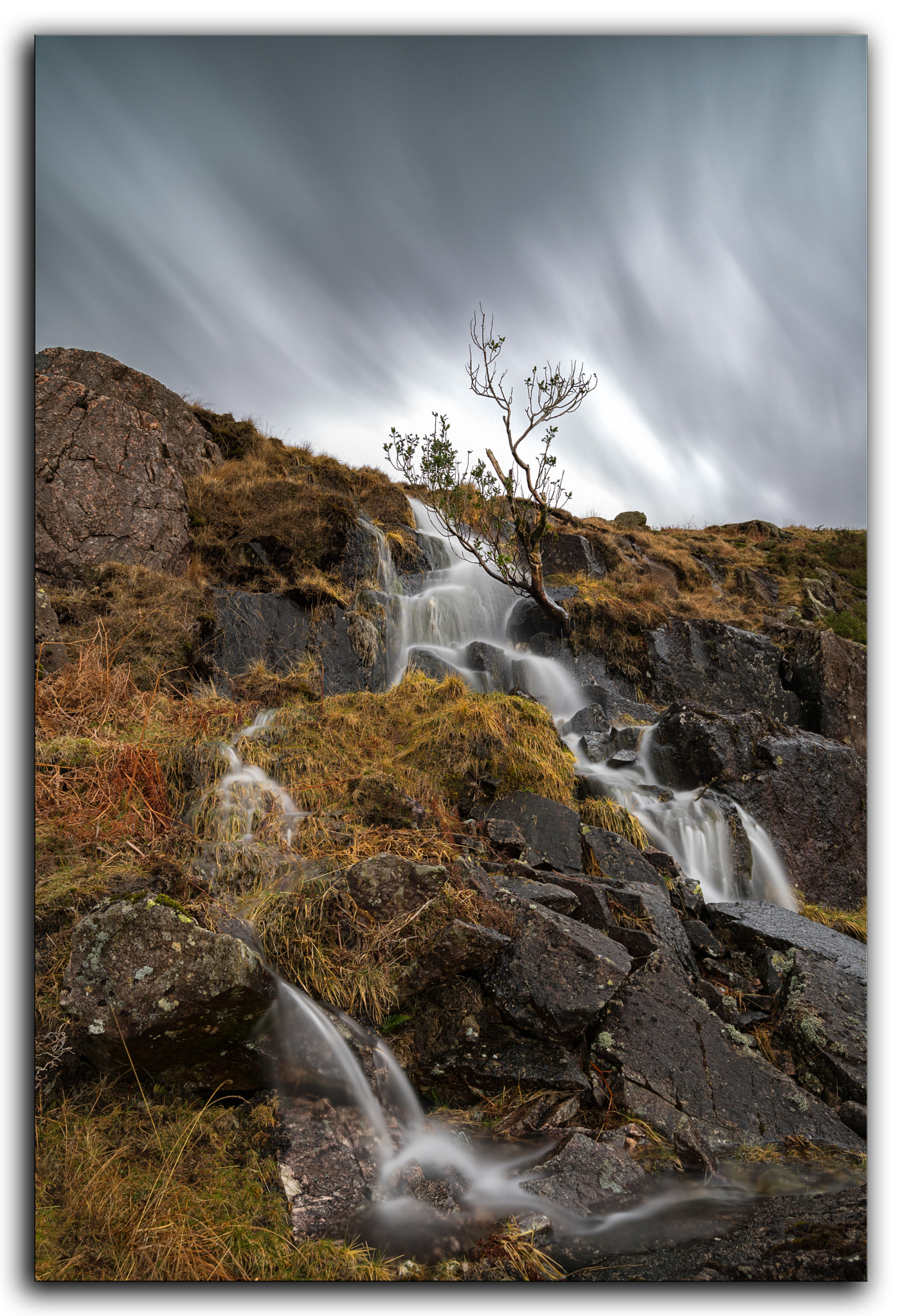 Nikon AF-S Nikkor 18-35mm F3.5-4.5G ED sample photo. The tree in the waterfall photography