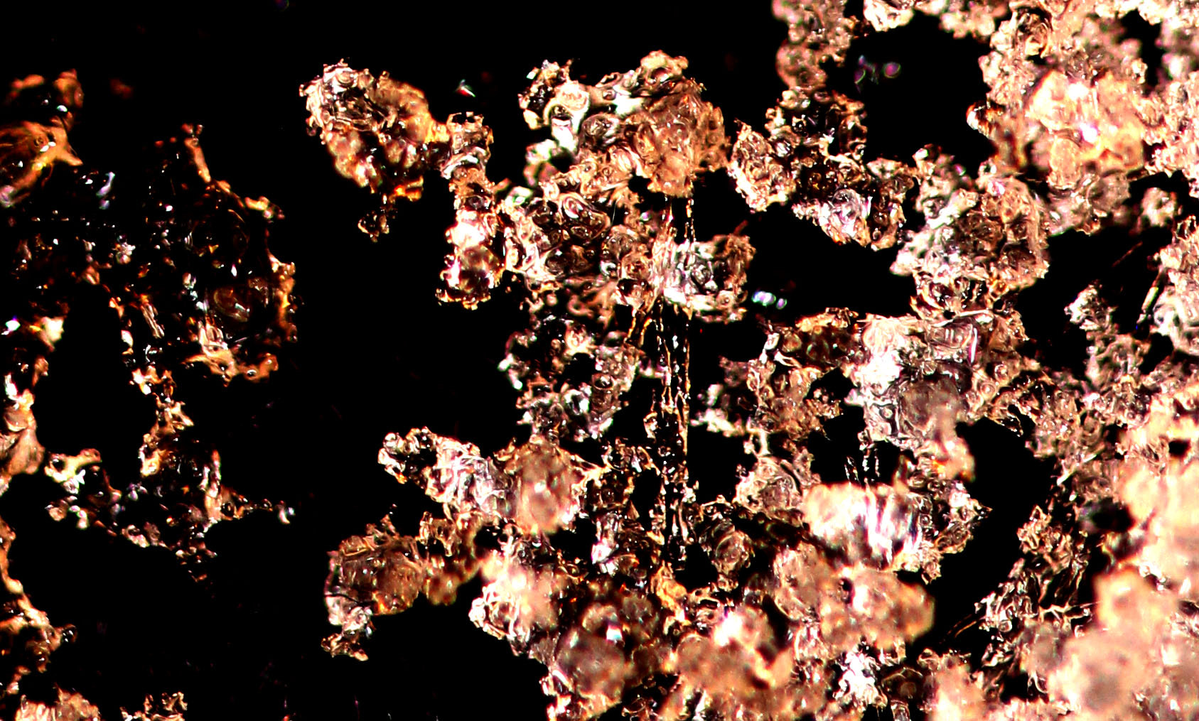 Canon EF 100mm F2.8 Macro USM sample photo. Snow photography