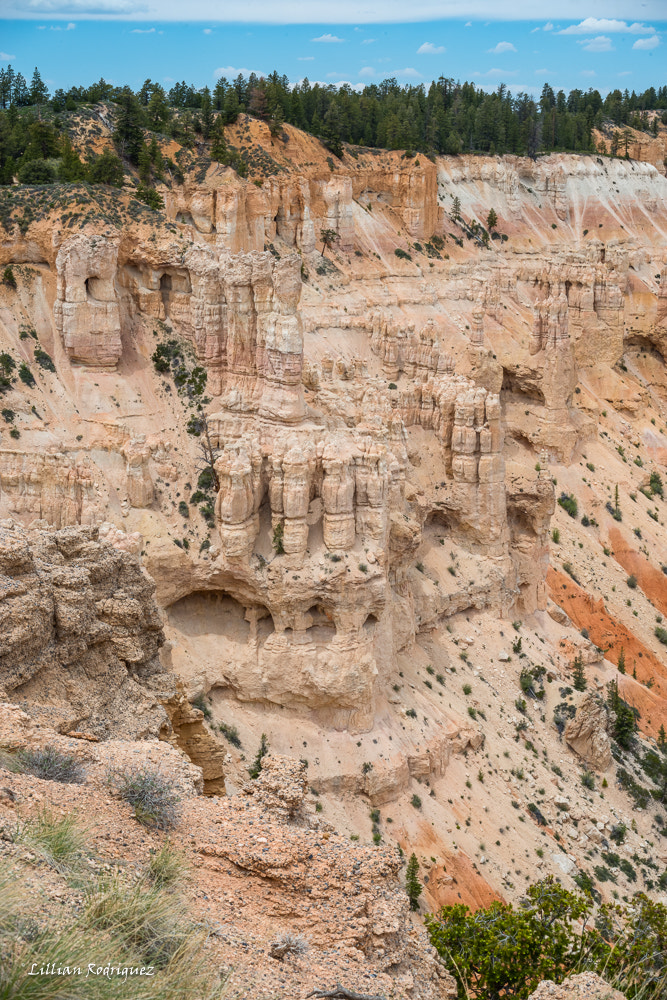 Nikon D800 + AF Zoom-Nikkor 28-70mm f/3.5-4.5D sample photo. Bryce canyon photography