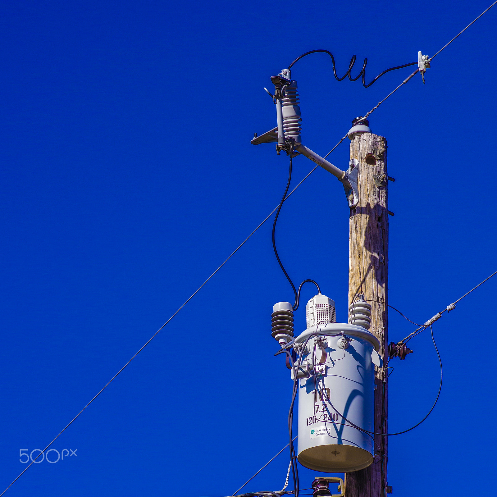 Pentax K-70 + Pentax smc D-FA 100mm F2.8 Macro WR sample photo. Power photography