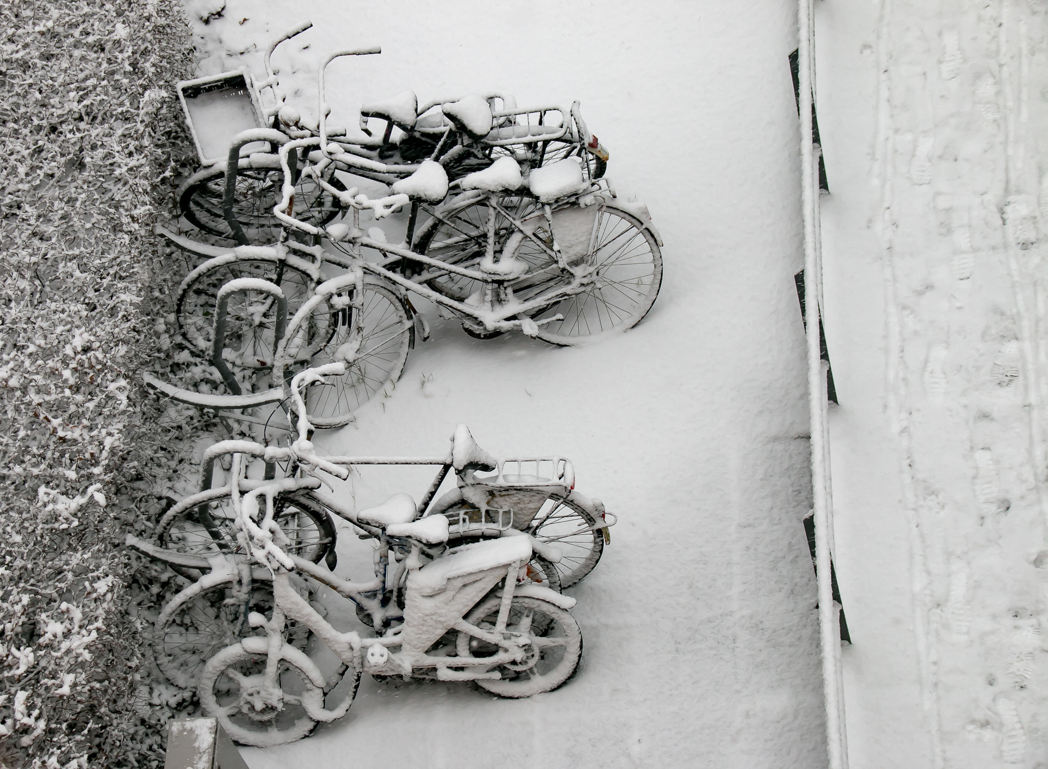 Sigma 18-250mm F3.5-6.3 DC OS HSM sample photo. Winter 2017 in amsterdam photography