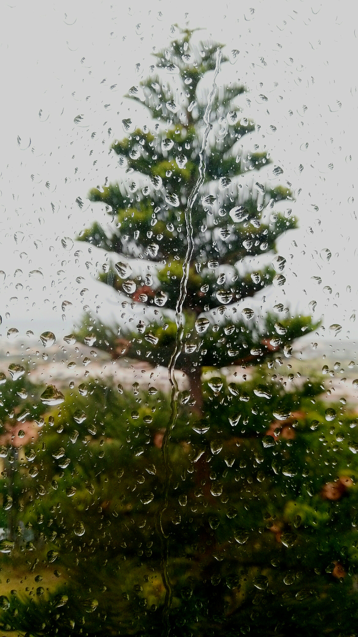 HUAWEI G7-L01 sample photo