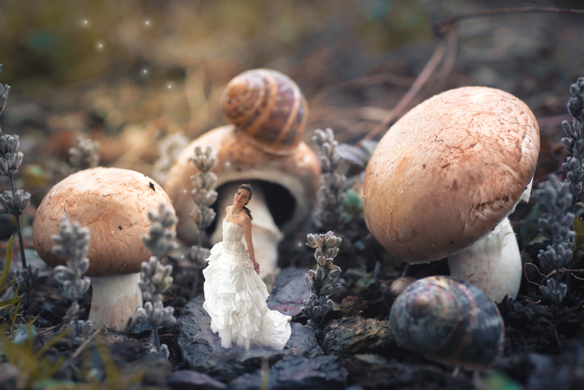 Nikon D800 sample photo. Julie and mushrooms photography