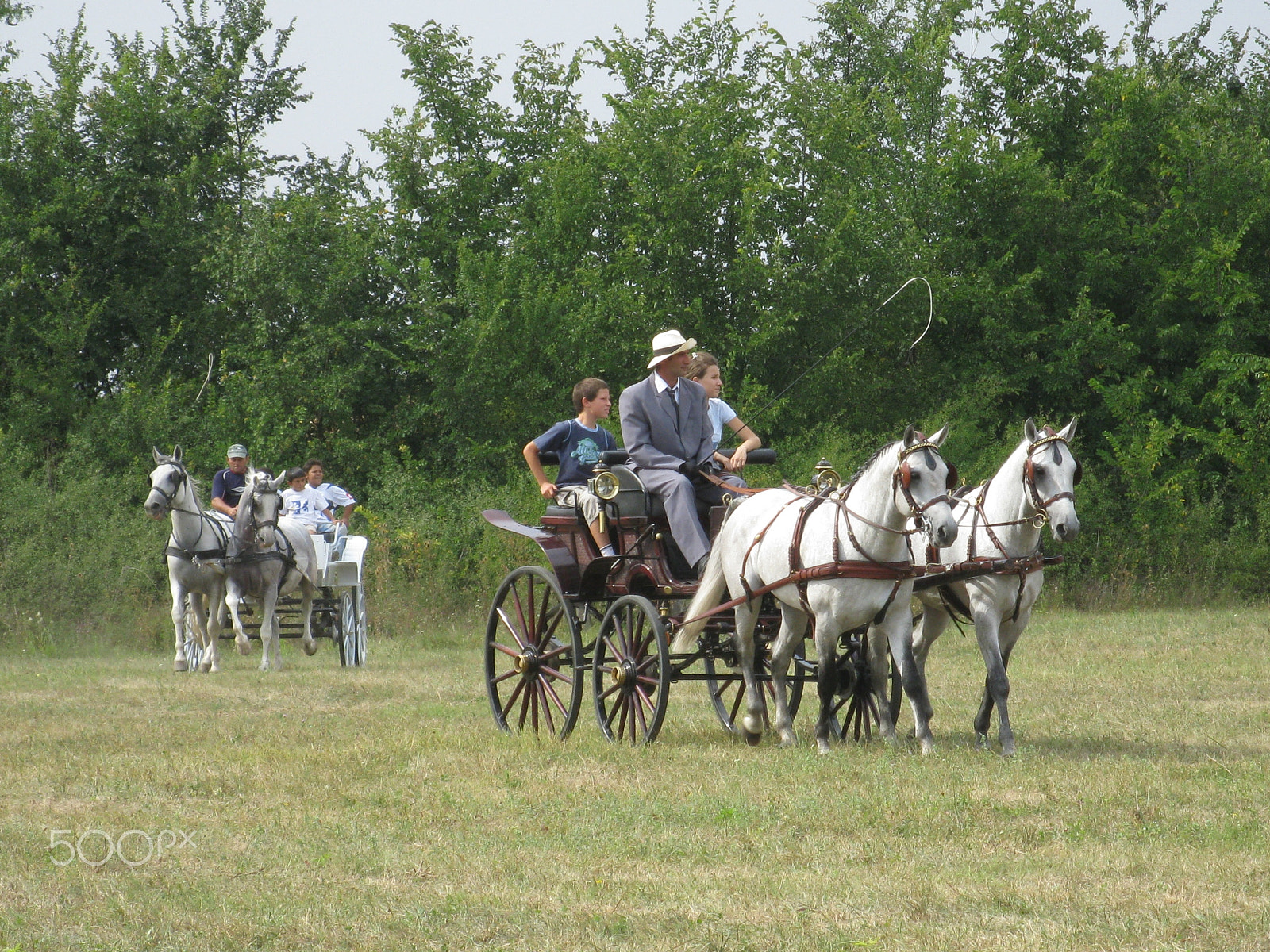 Canon PowerShot A2000 IS sample photo. Equestrian carriage 1 photography