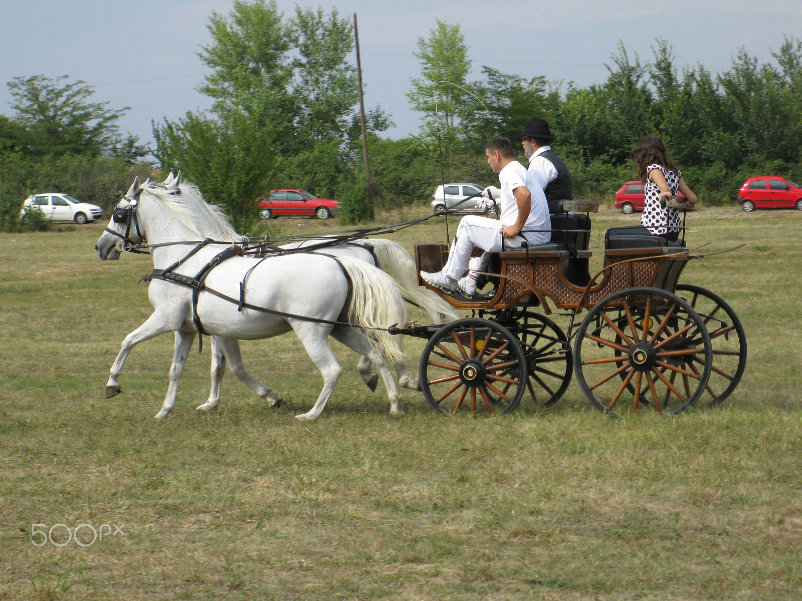 Canon PowerShot A2000 IS sample photo. Equestrian carriage 3 photography