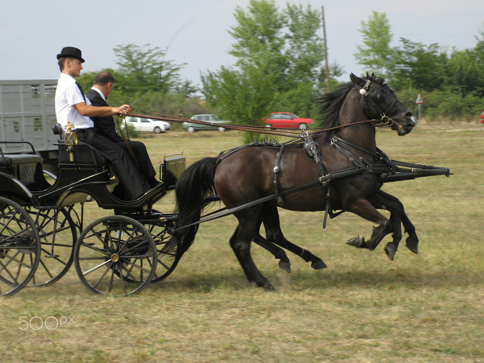 Canon PowerShot A2000 IS sample photo. Equestrian carriage 4 photography