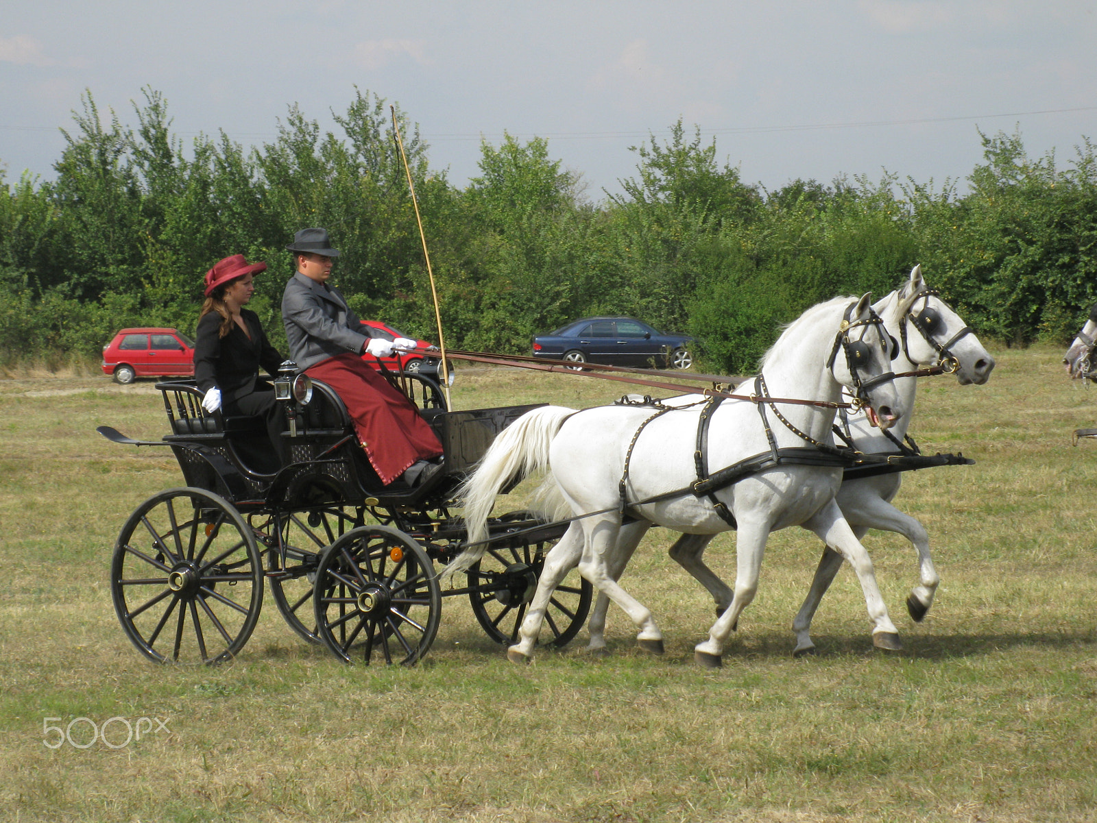 Canon PowerShot A2000 IS sample photo. Equestrian carriage 5 photography