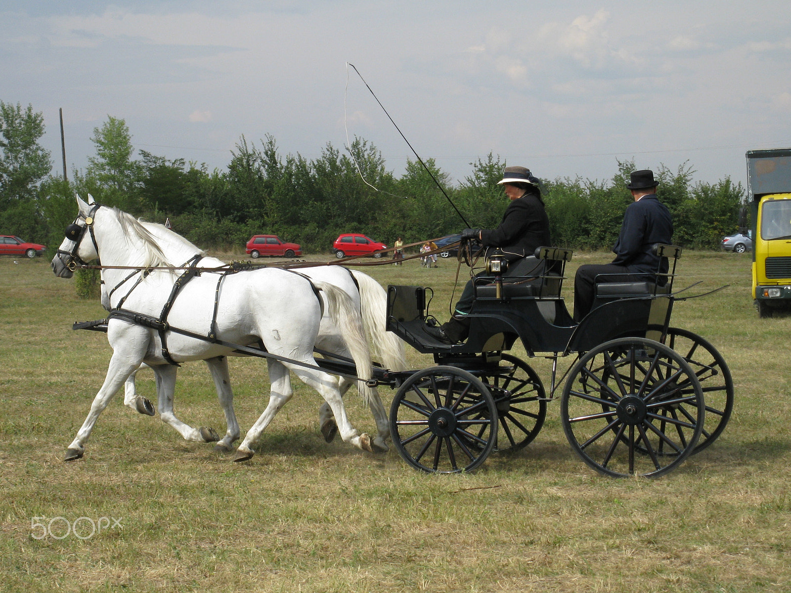 Canon PowerShot A2000 IS sample photo. Equestrian carriage 6 photography