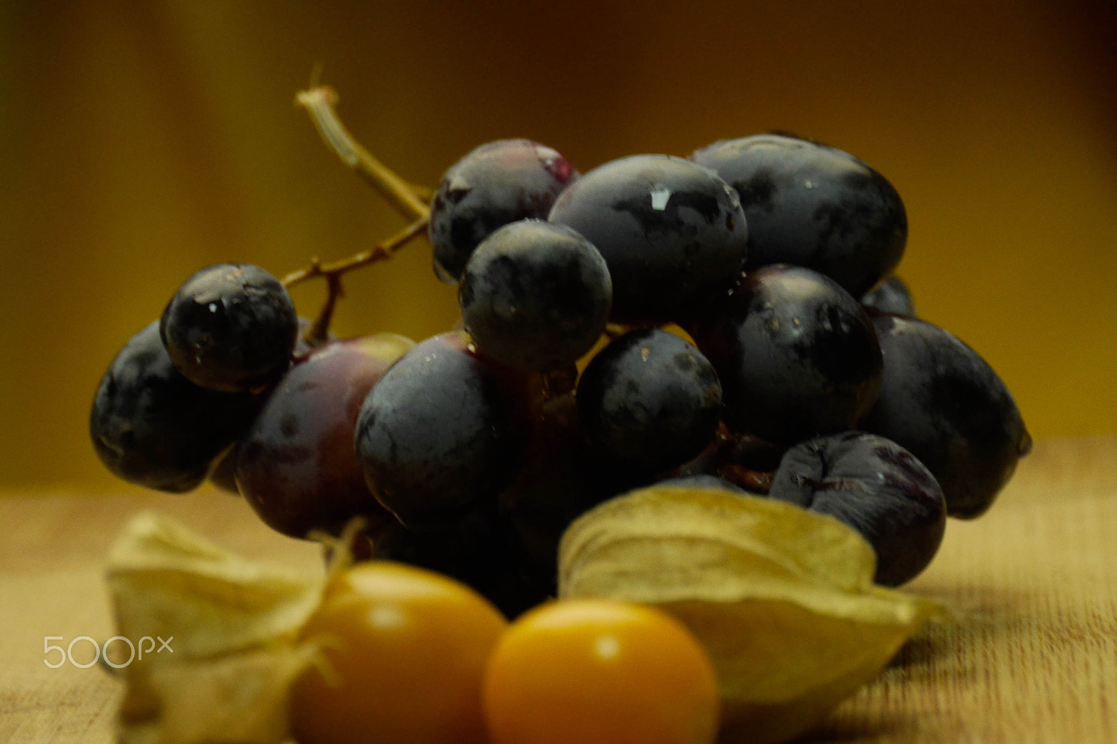 Panasonic Lumix DMC-GH3 sample photo. "scrumptious" photography