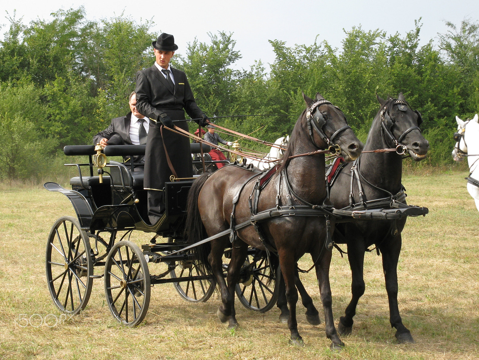 Canon PowerShot A2000 IS sample photo. Equestrian carriage 7 photography