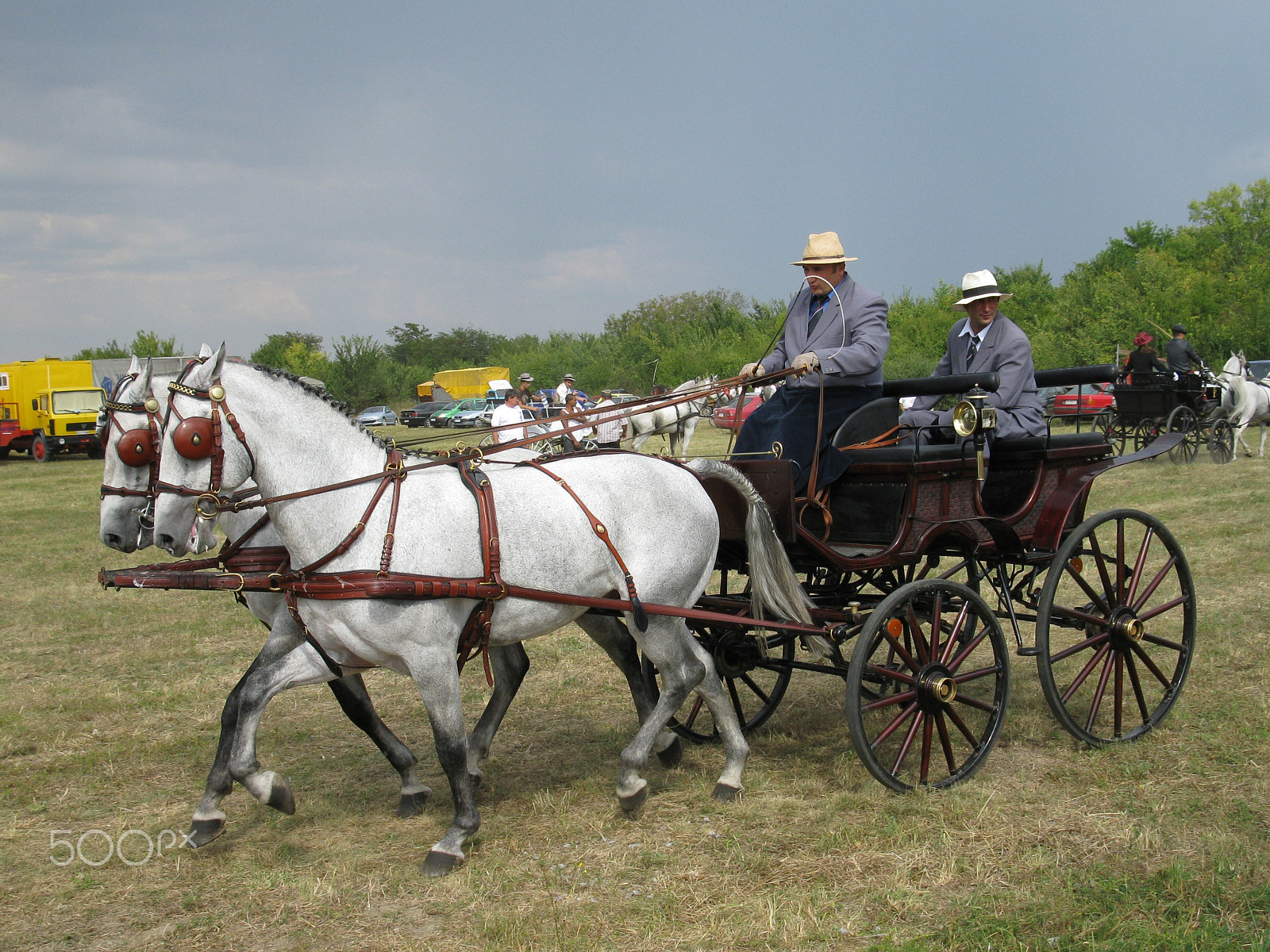 Canon PowerShot A2000 IS sample photo. Equestrian carriage 8 photography