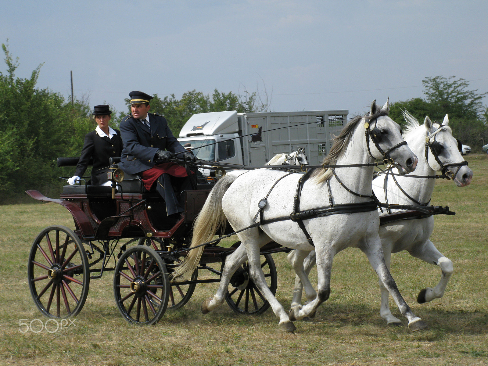 Canon PowerShot A2000 IS sample photo. Equestrian carriage 9 photography