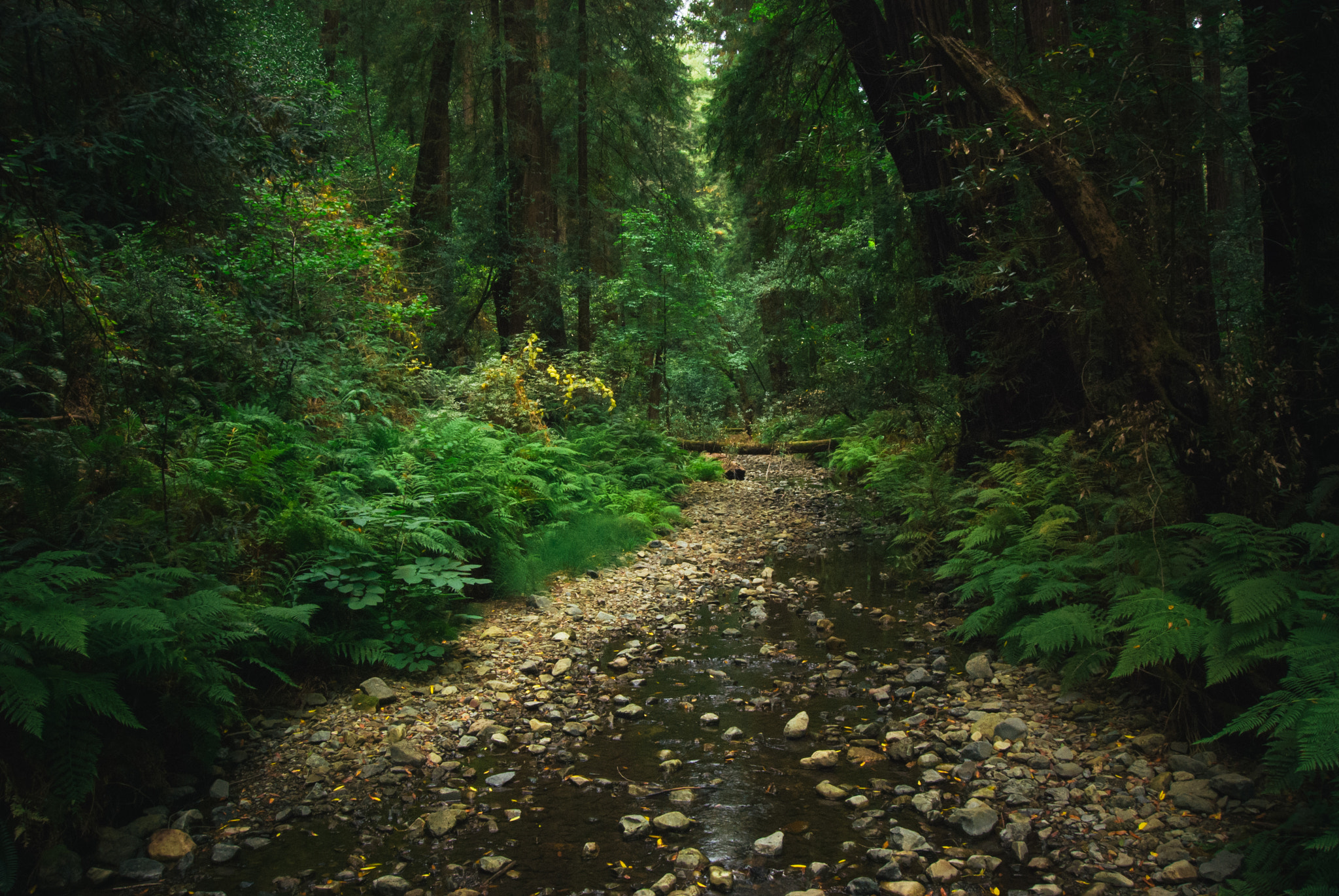 Nikon D80 sample photo. Untitled photography