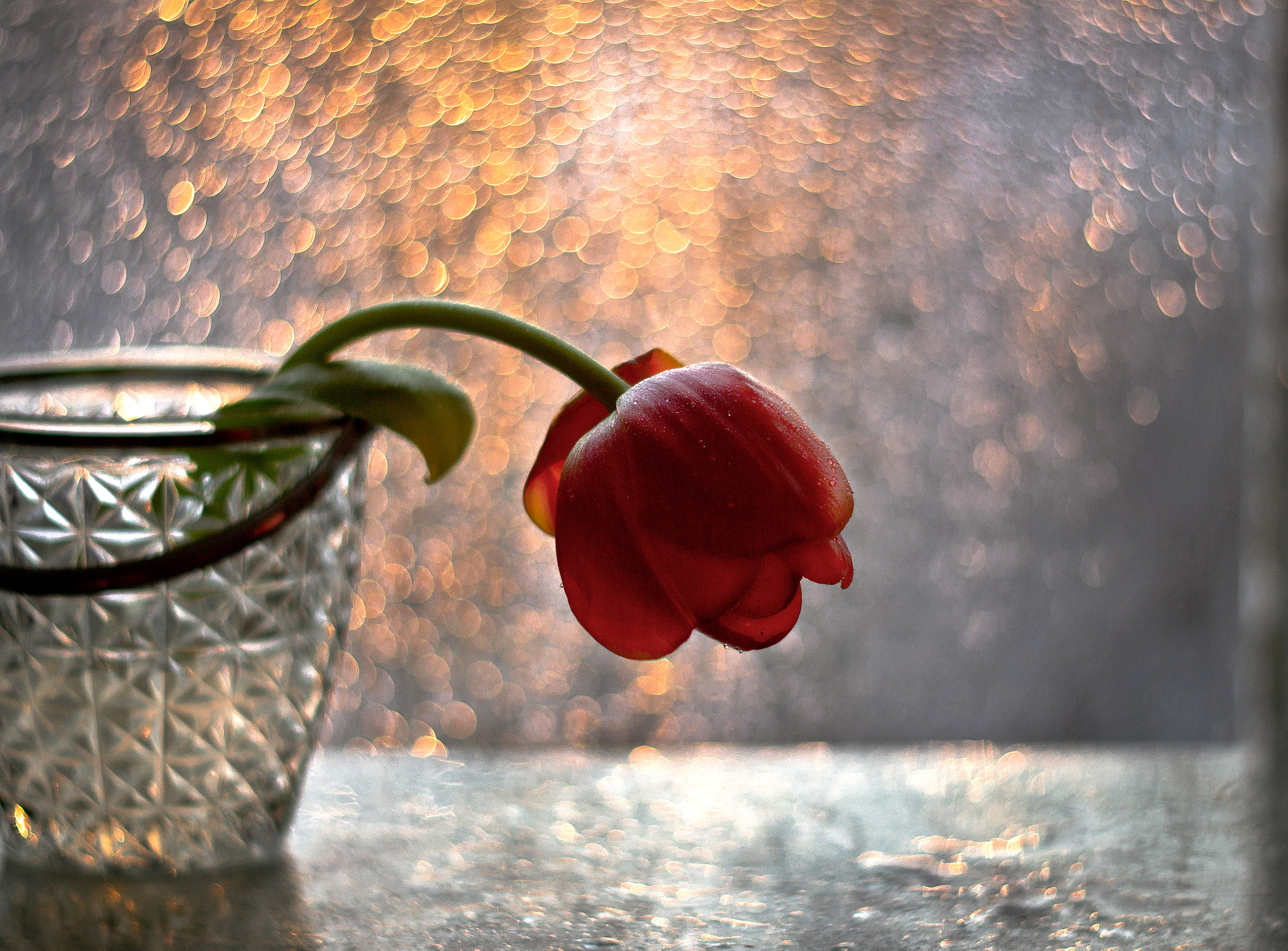 Canon EF 35-80mm f/4-5.6 sample photo. Закат photography
