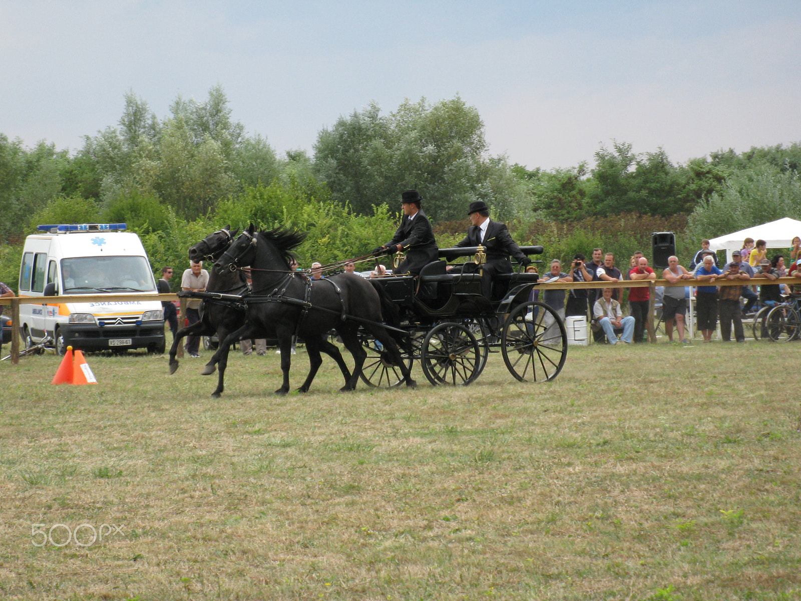 Canon PowerShot A2000 IS sample photo. Equestrian carriage 11 photography