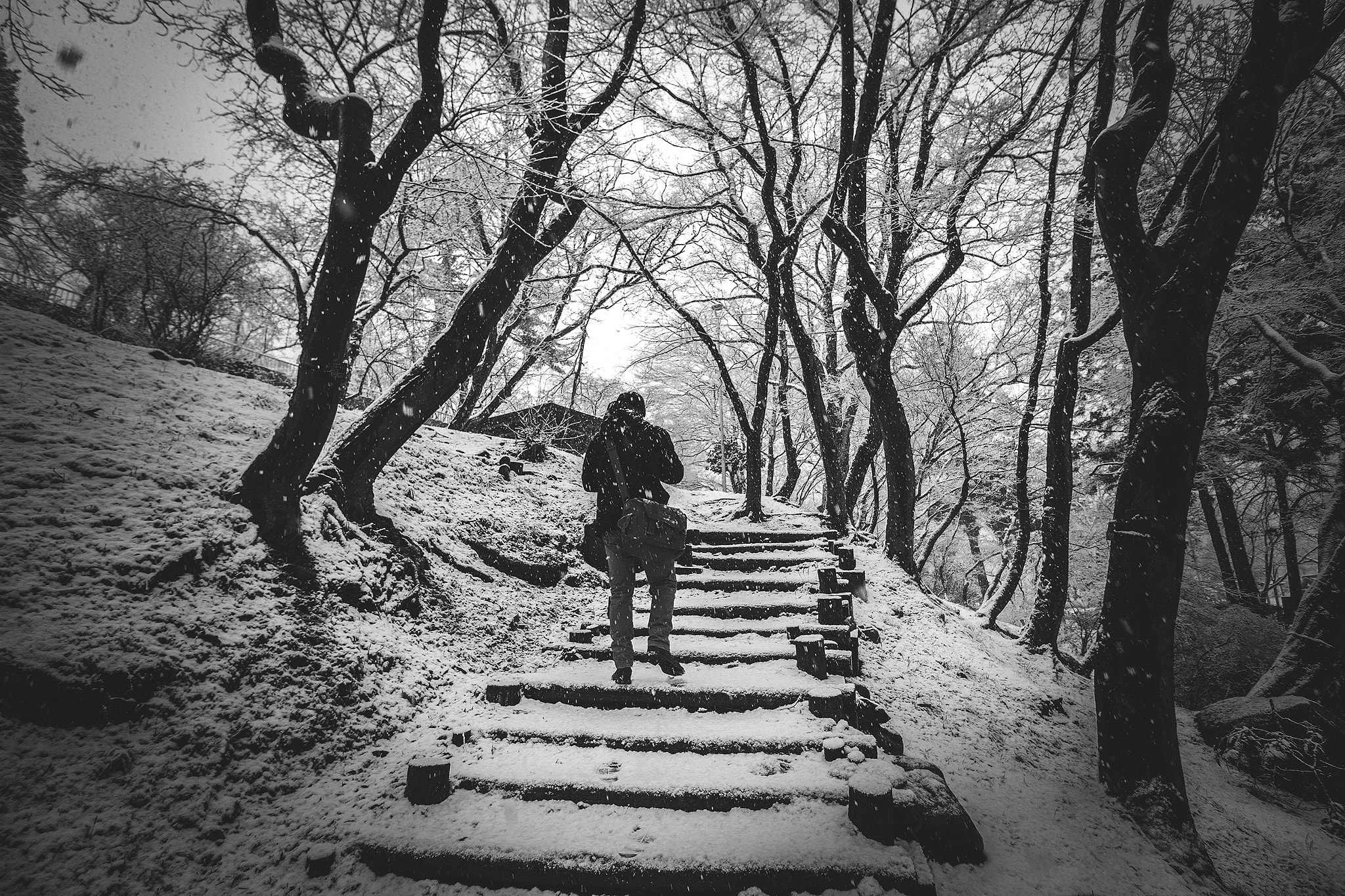 Canon EOS 7D + Canon EF-S 10-18mm F4.5–5.6 IS STM sample photo. Snowy path photography