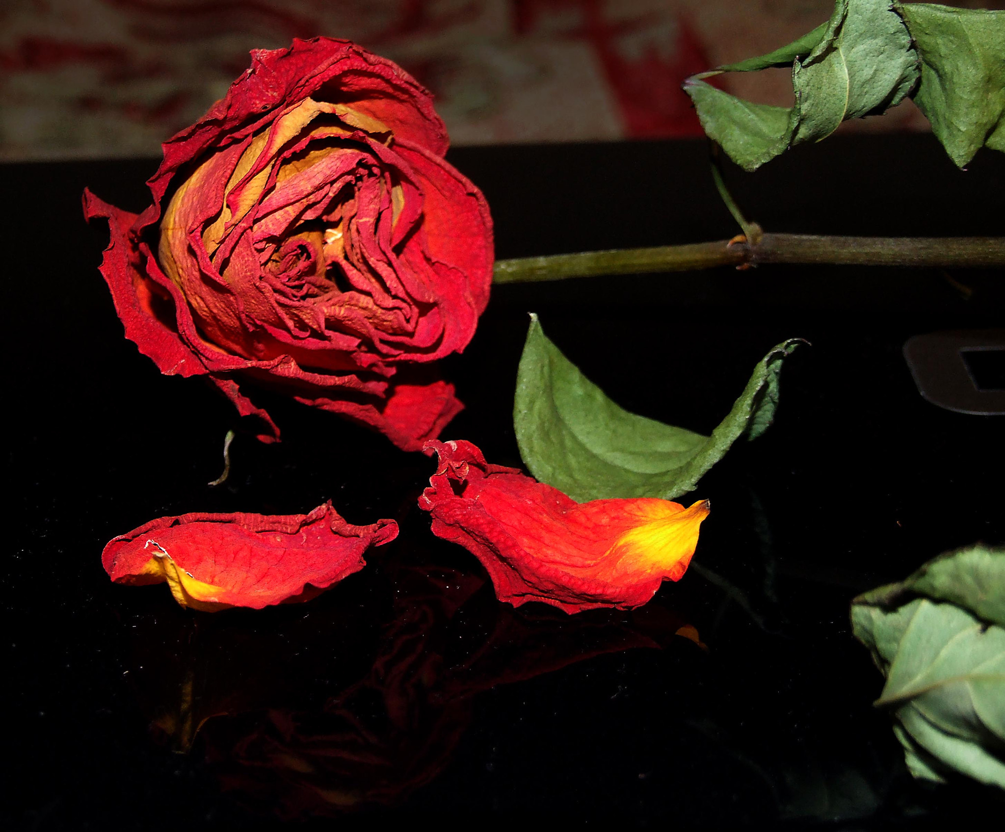 Fujifilm FinePix S9600 sample photo. Оverblown roses photography