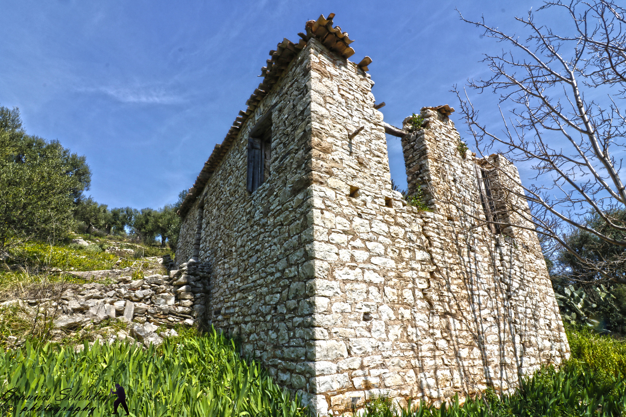 Canon EOS 760D (EOS Rebel T6s / EOS 8000D) sample photo. Stone years Χρυσοχώρι Μεσσηνίας photography