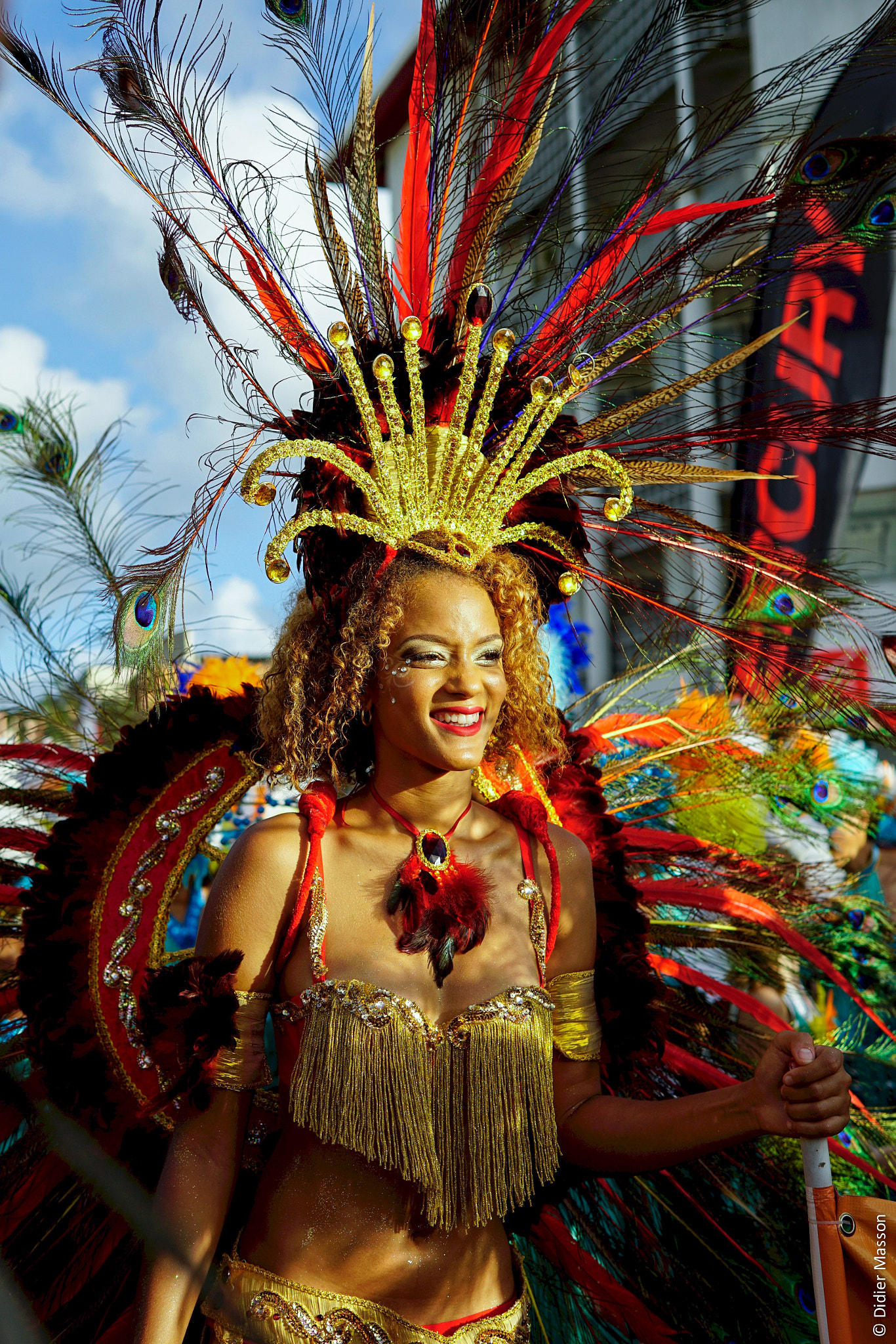 Sony a6000 + Sigma 30mm F1.4 DC DN | C sample photo. Madinina carnaval photography