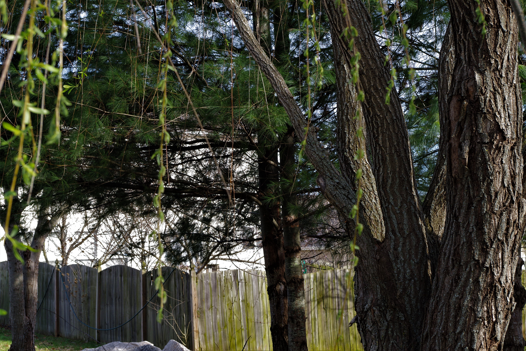 smc PENTAX-DA L 18-55mm F3.5-5.6 sample photo. () photography