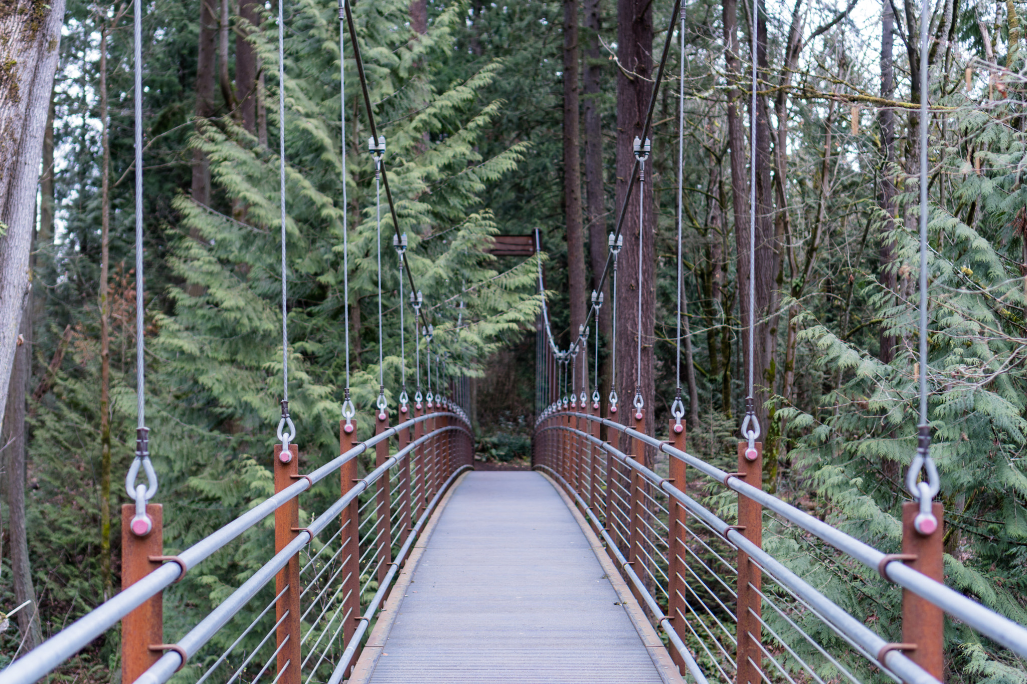 Sony a6500 + Sony E 35mm F1.8 OSS sample photo. Suspension bridge photography