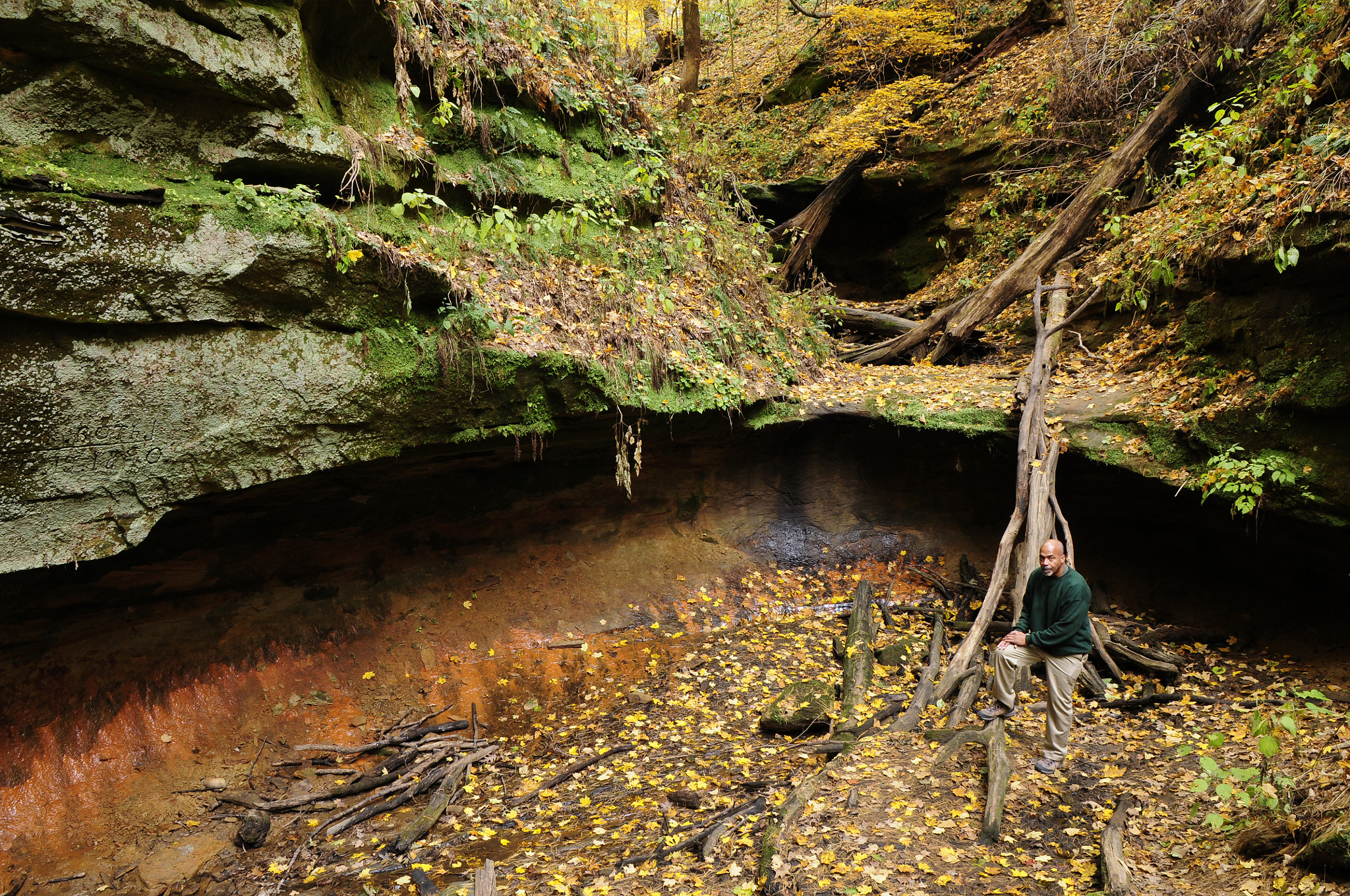 Nikon D300 sample photo. Would you believe this is iowa! photography