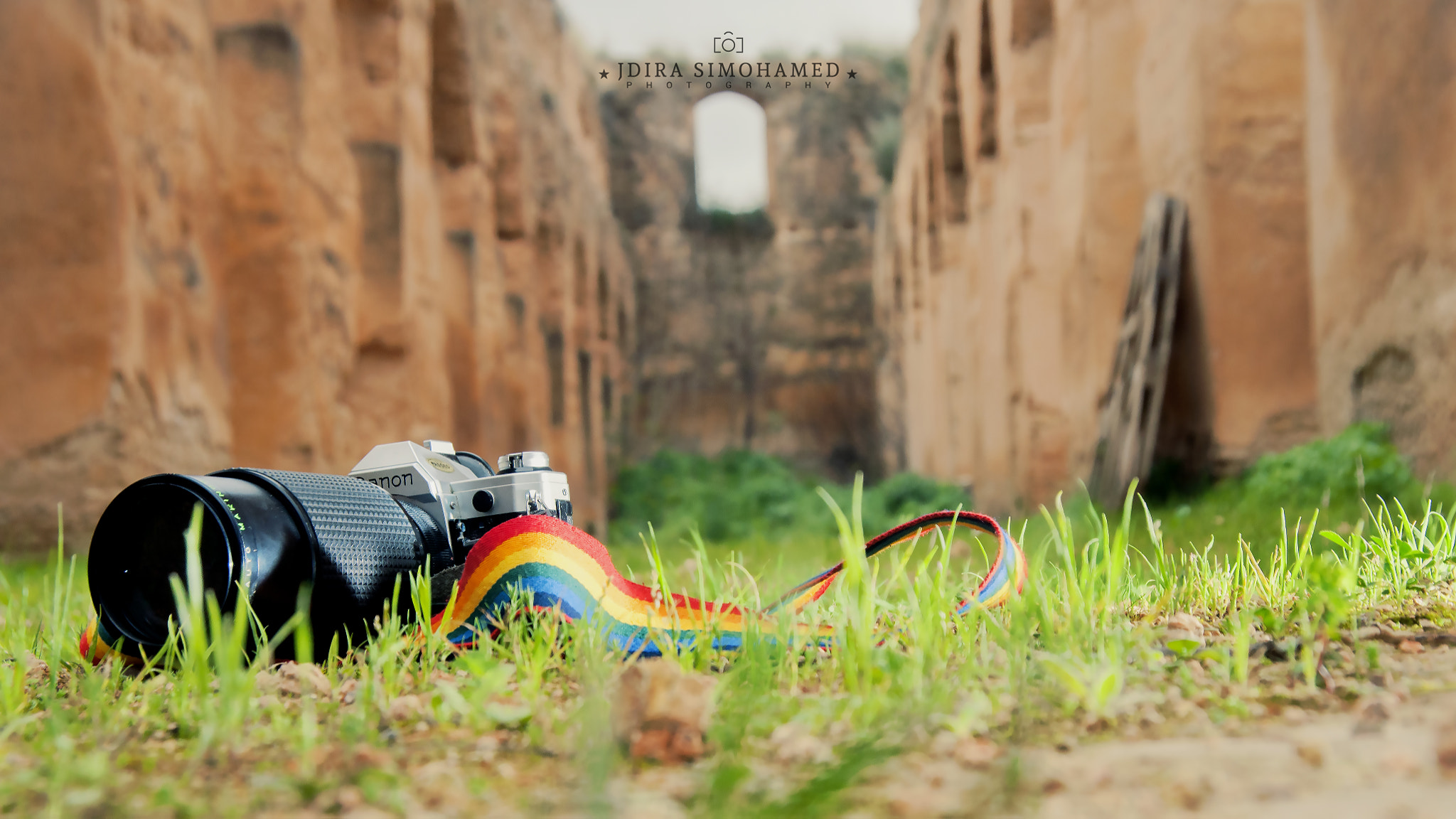 Sony DT 18-250mm F3.5-6.3 sample photo. Photography for life photography