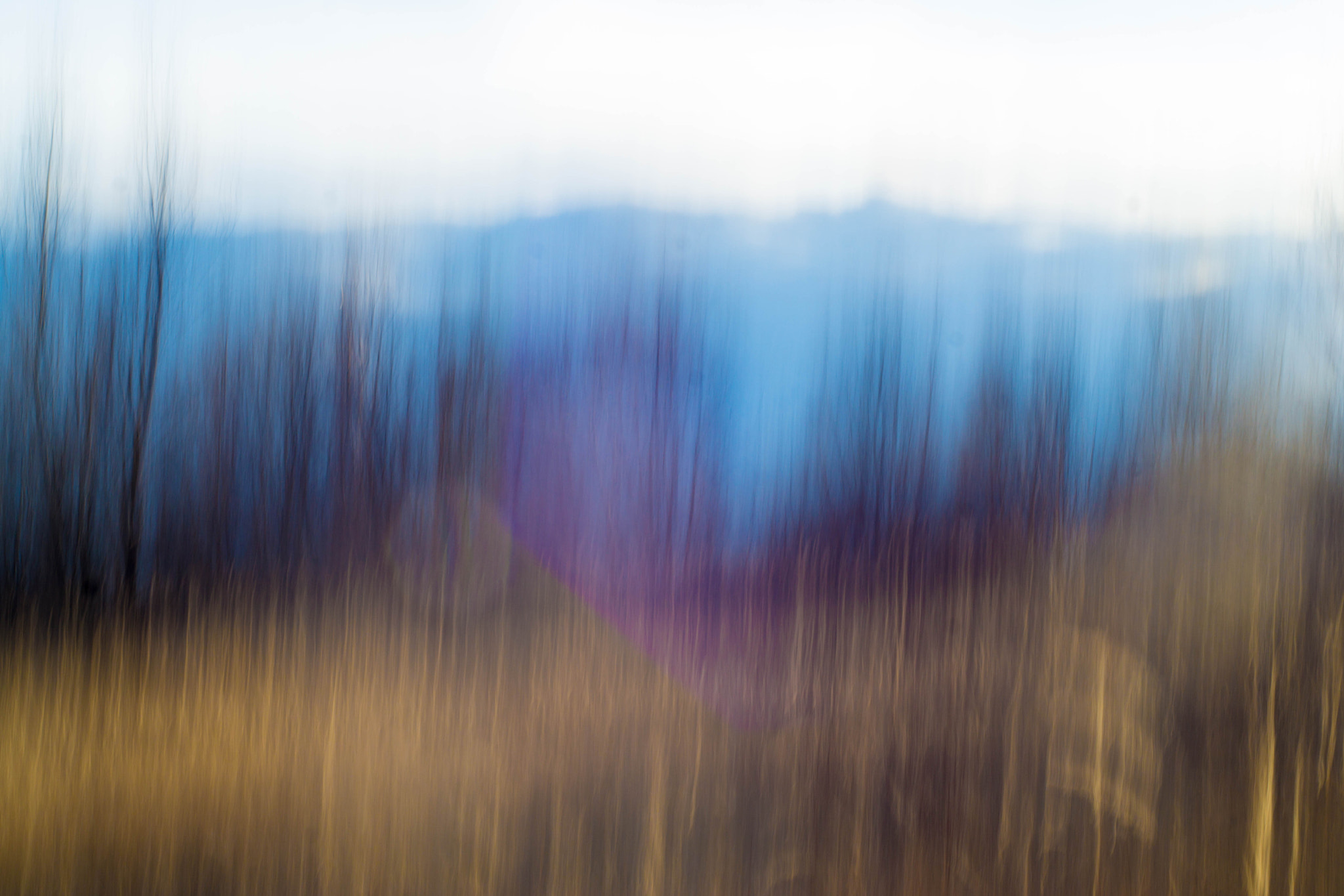 MACRO 50mm F2.8 sample photo. Westkreuz aufstrebend photography