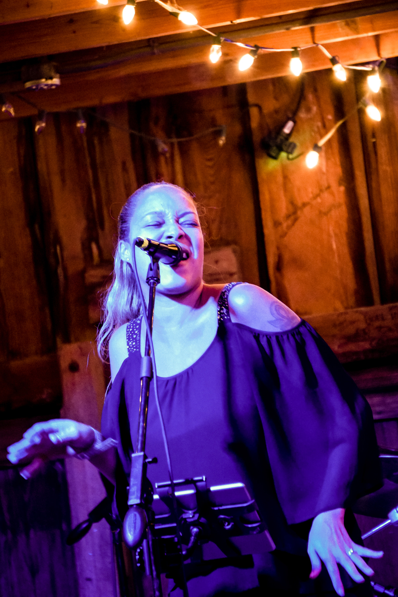 Sony E 55-210mm F4.5-6.3 OSS sample photo. Jacqui walker band photography