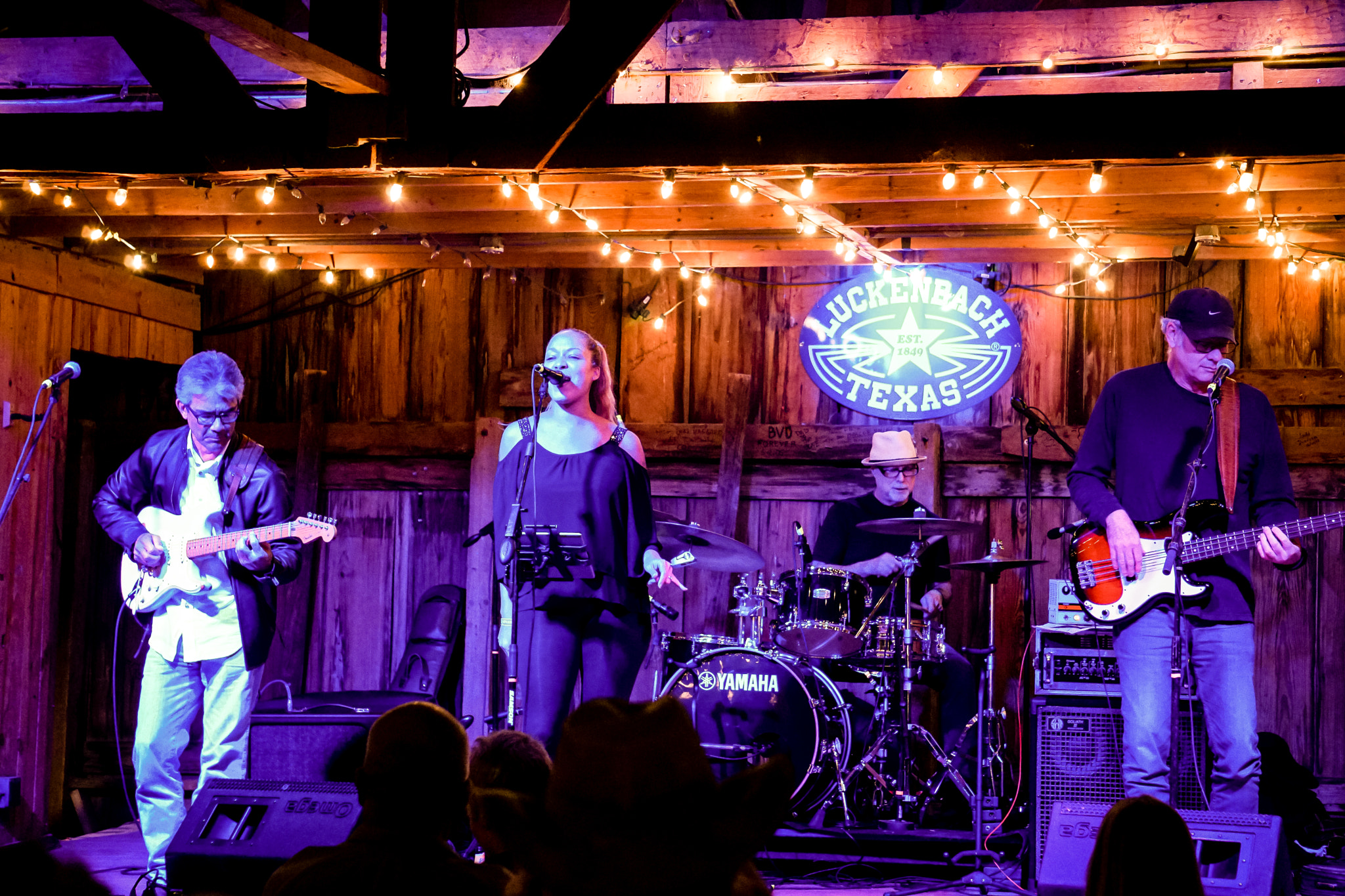 Sony E 55-210mm F4.5-6.3 OSS sample photo. Jacqui walker band photography