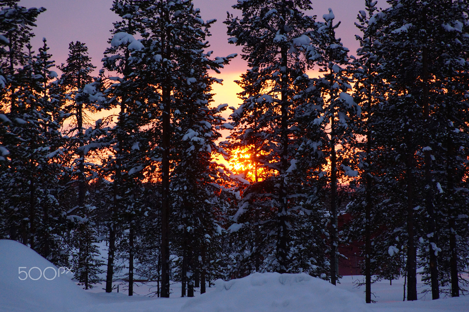 Sony SLT-A77 sample photo. Saariselka sunset photography