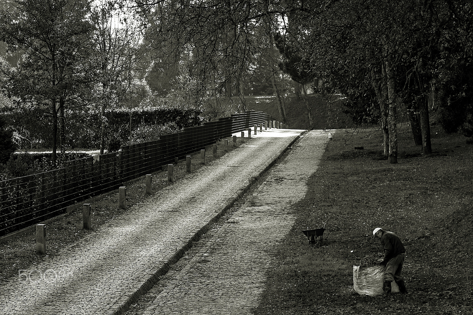 Canon EOS 500D (EOS Rebel T1i / EOS Kiss X3) sample photo. Picking up fallen leaves. photography