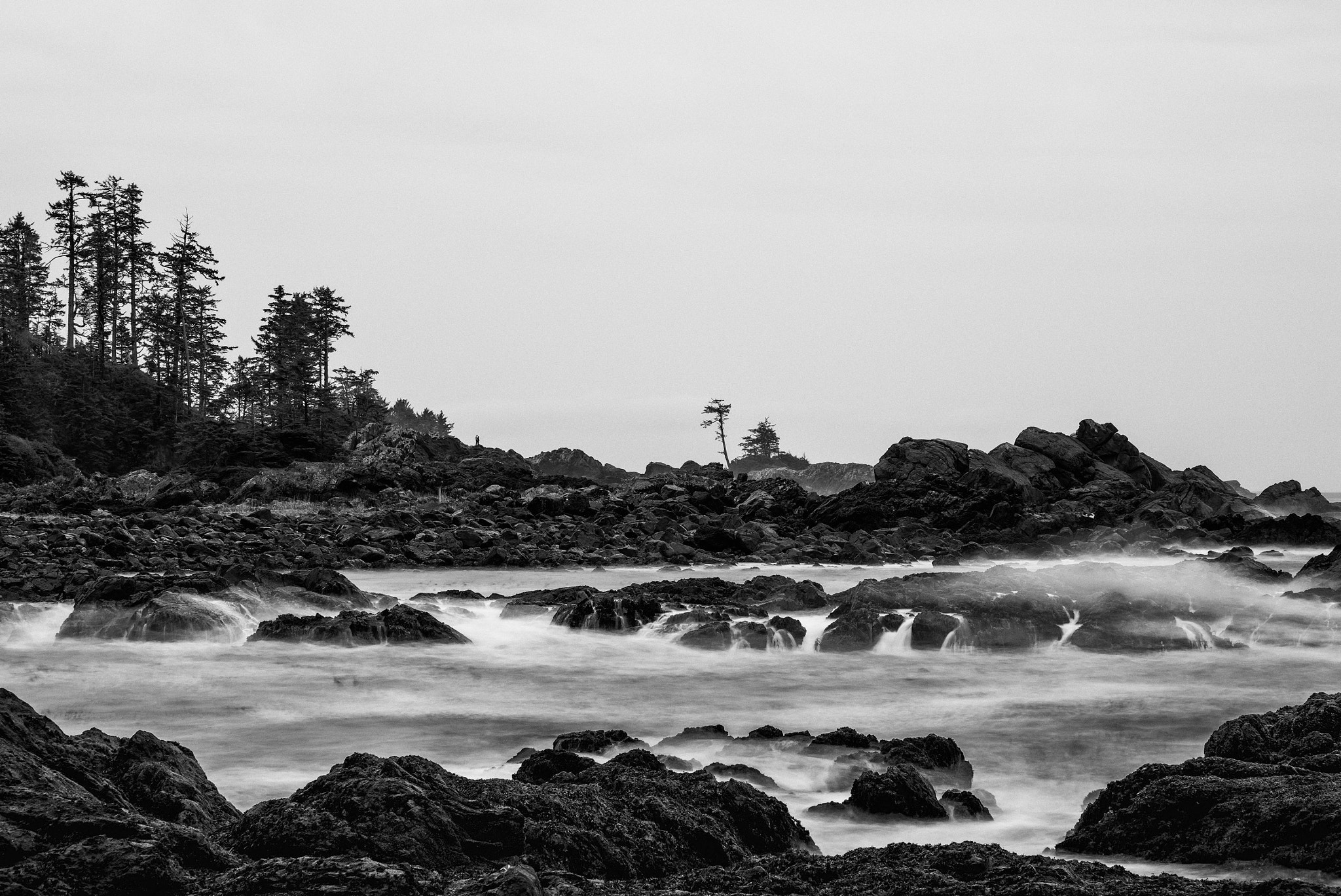 Pentax K-1 sample photo. In the rain i photography