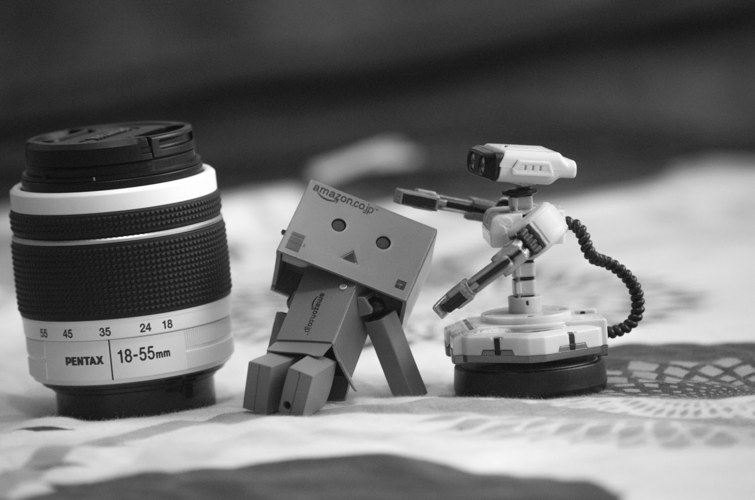 Pentax K-50 + Sigma sample photo. Danboard & r.o.b. photography