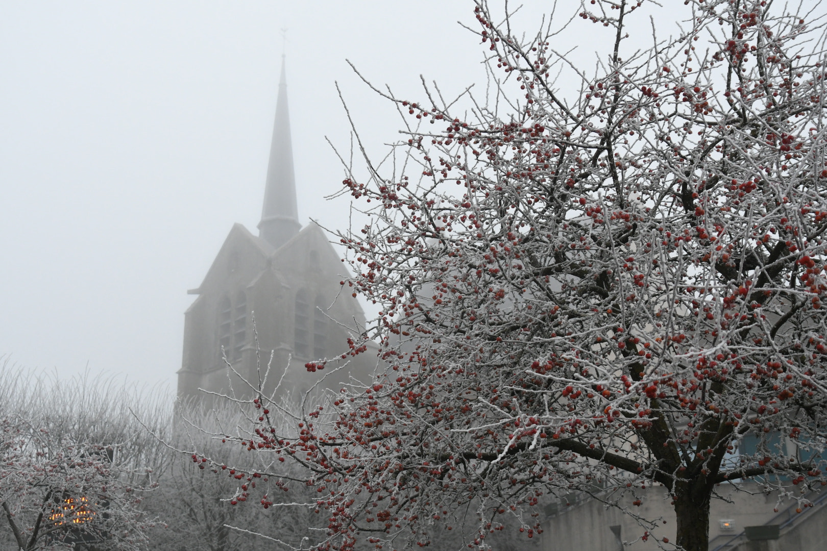 Tamron SP 24-70mm F2.8 Di VC USD sample photo. Church winter freeze photography