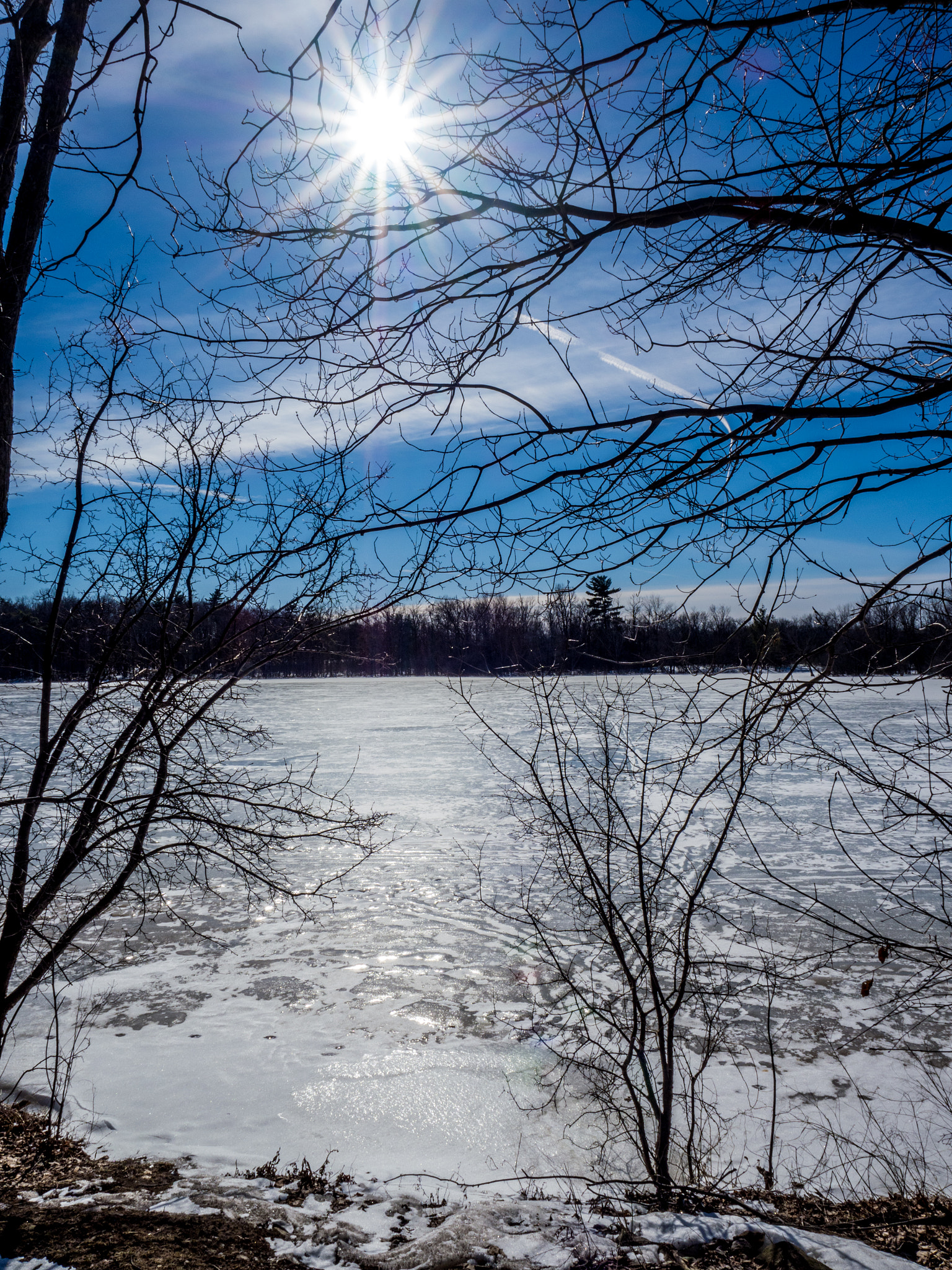 Olympus OM-D E-M1 Mark II + Olympus M.Zuiko Digital ED 12-40mm F2.8 Pro sample photo. Winter sun mud lake photography