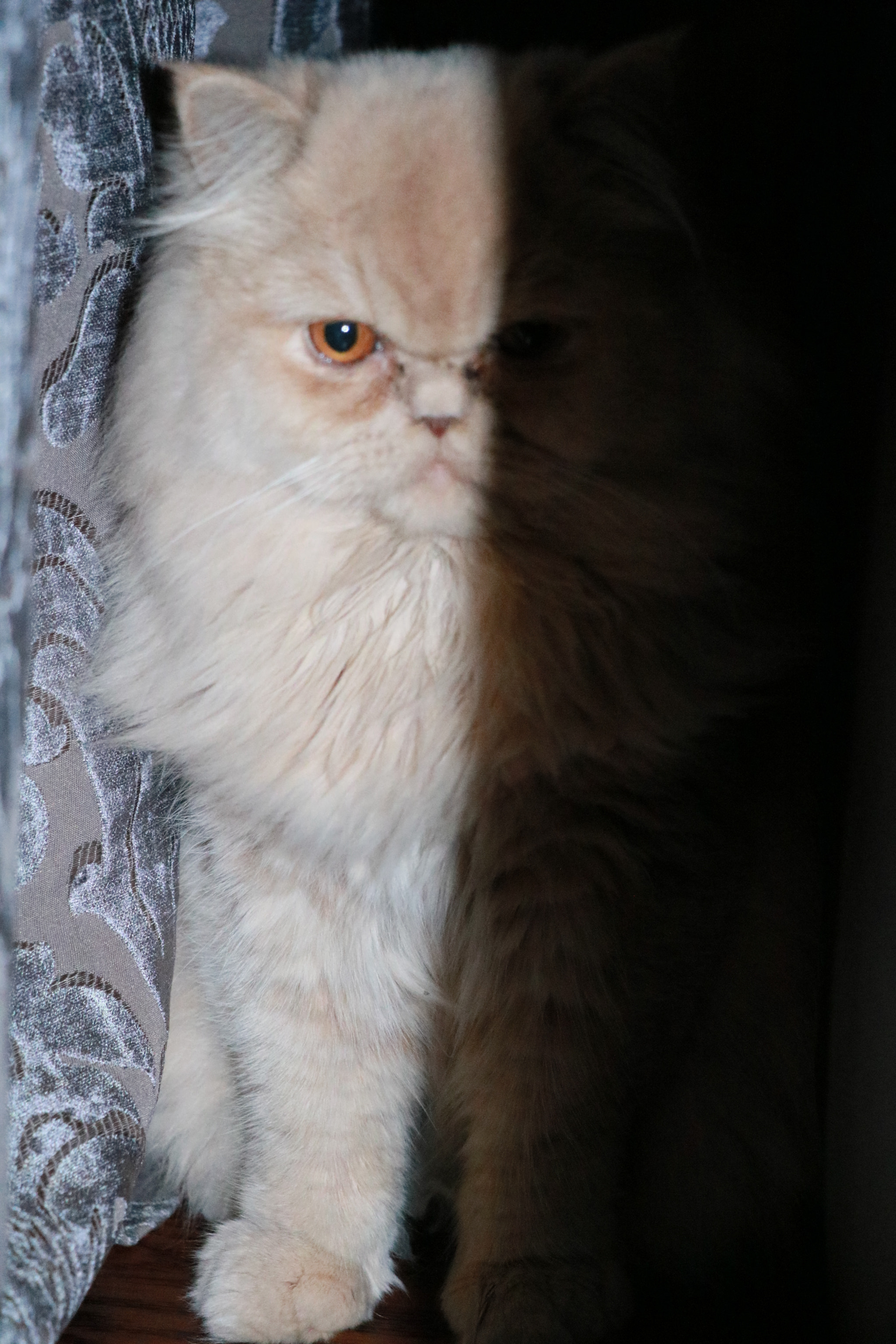 Canon EOS 760D (EOS Rebel T6s / EOS 8000D) sample photo. Img photography