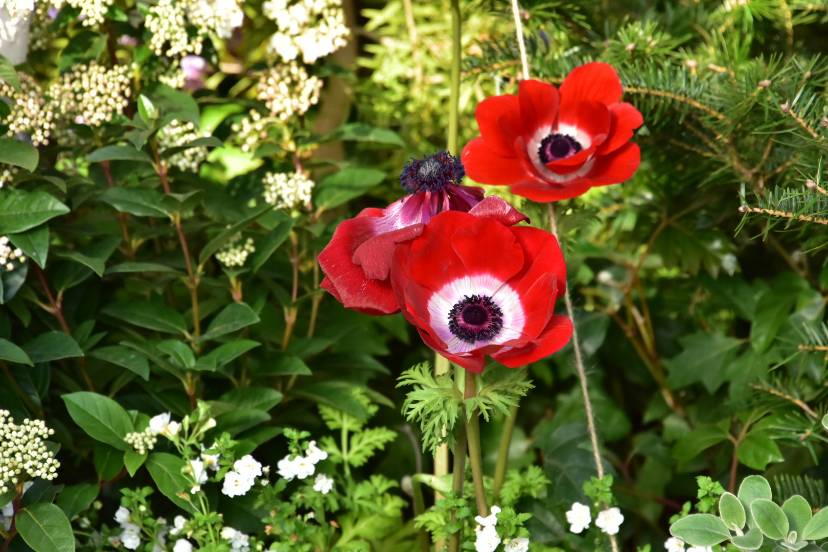 Nikon D7200 sample photo