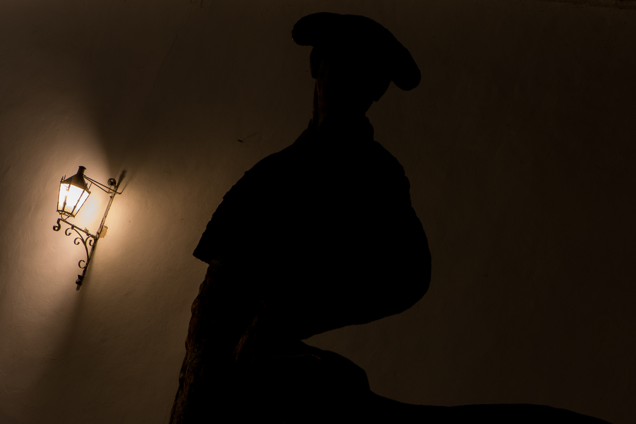 Canon EF 24-70mm F2.8L USM sample photo. Torero en la noche photography
