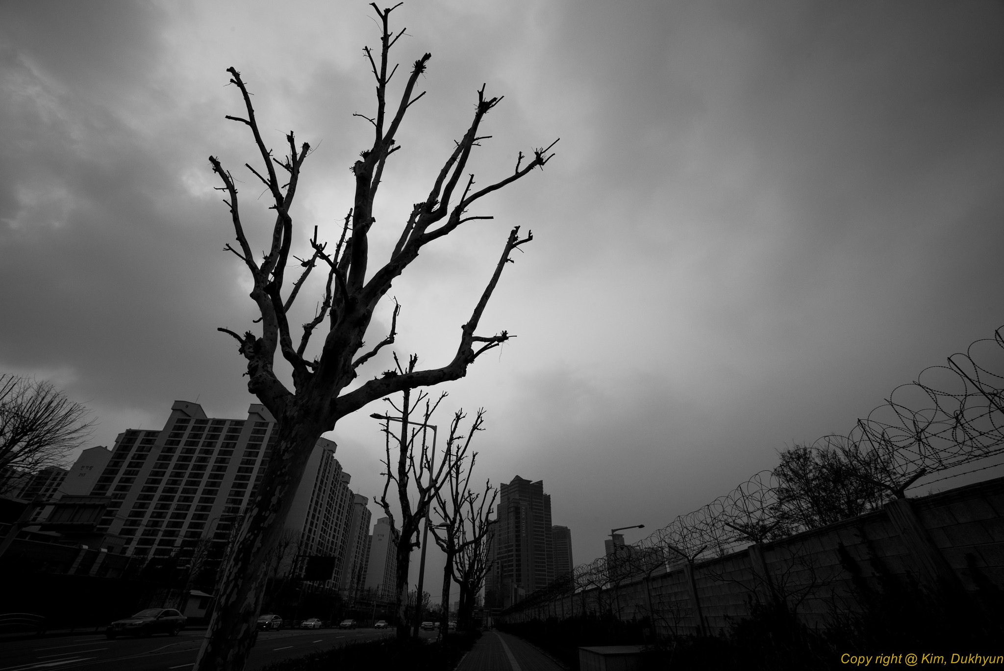 A Series Lens sample photo. A silhouette of street photography